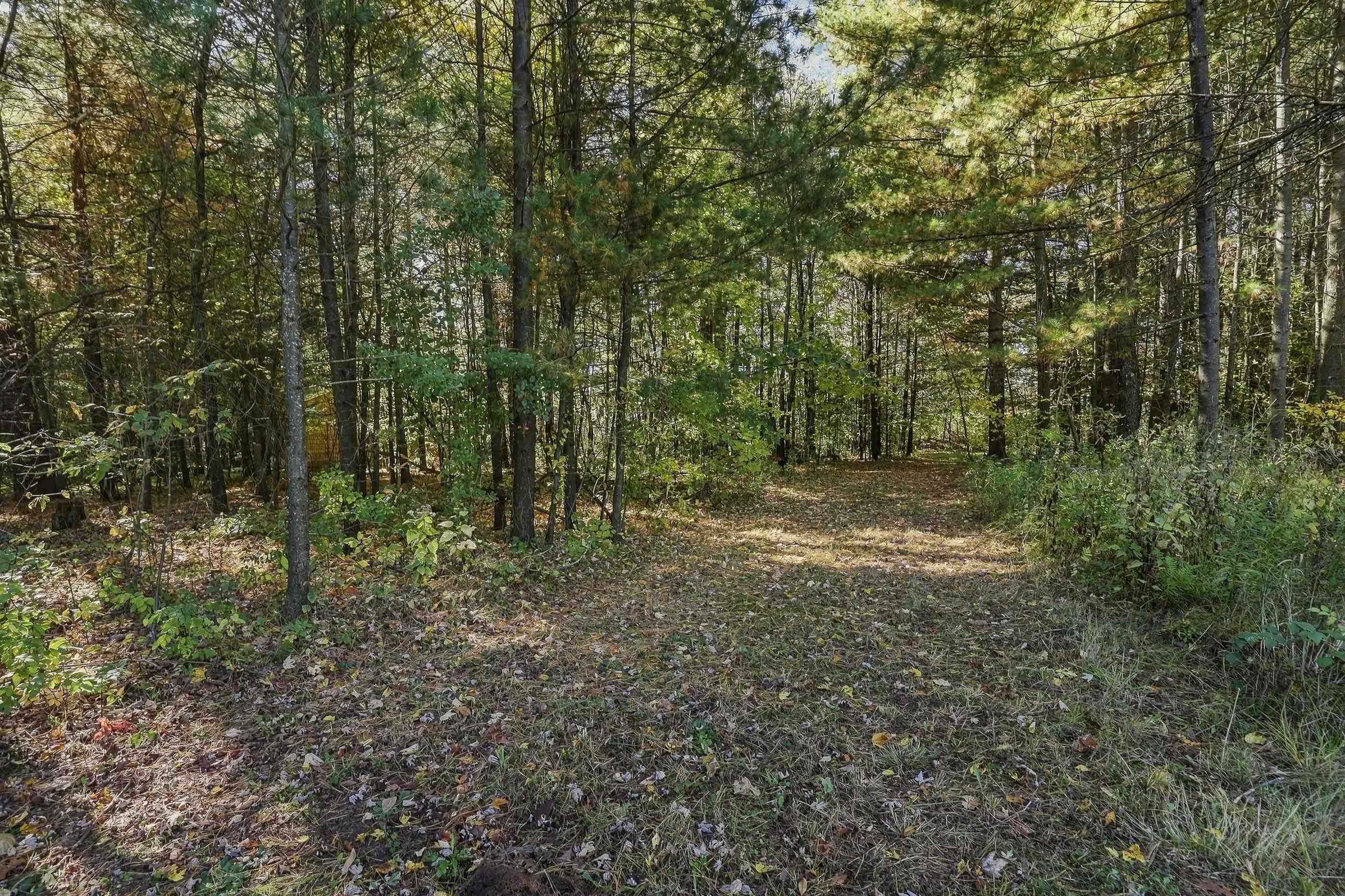 10767 Sandy Spring Drive Property Photo 5