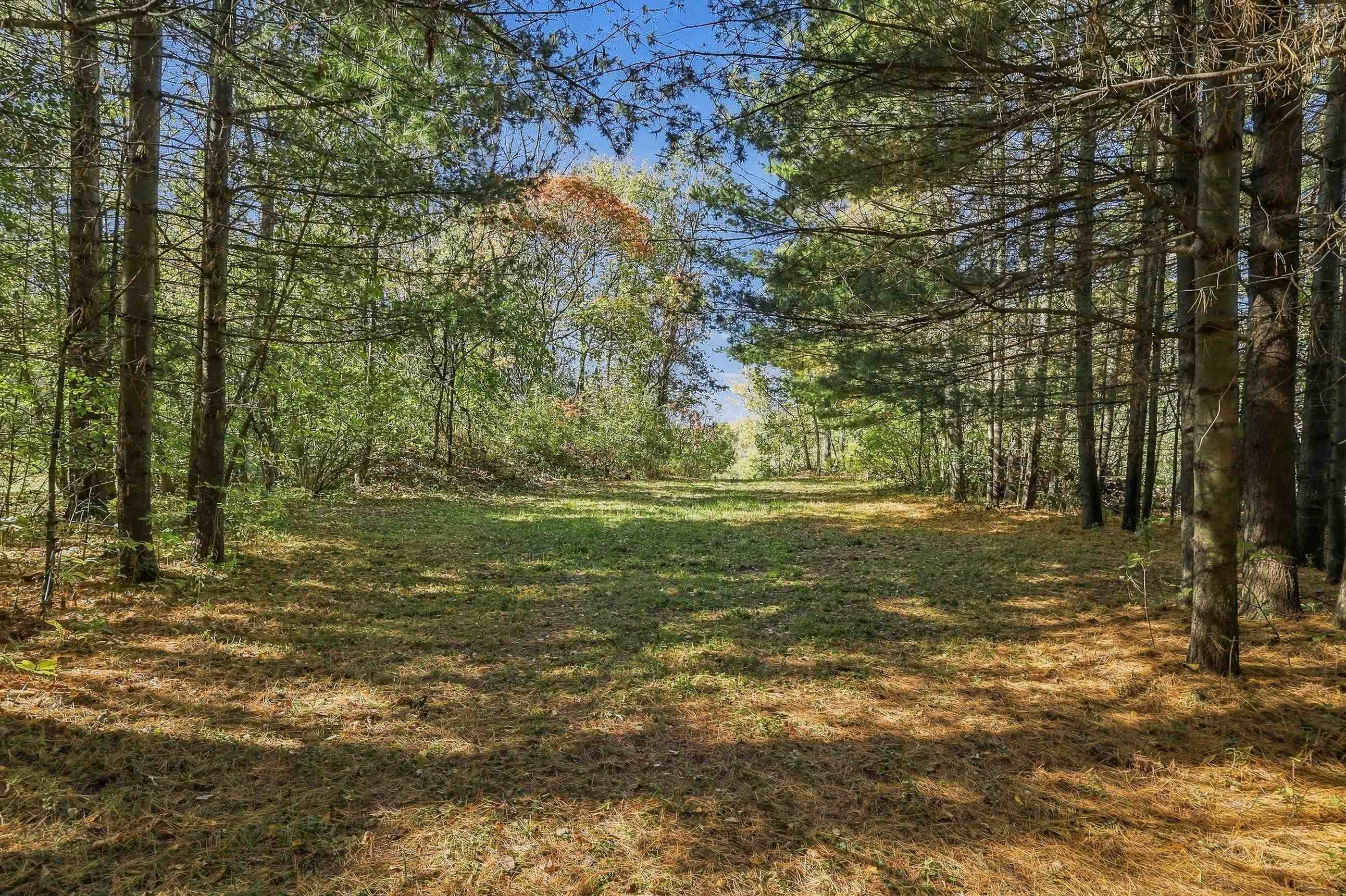 10767 Sandy Spring Drive Property Photo 6