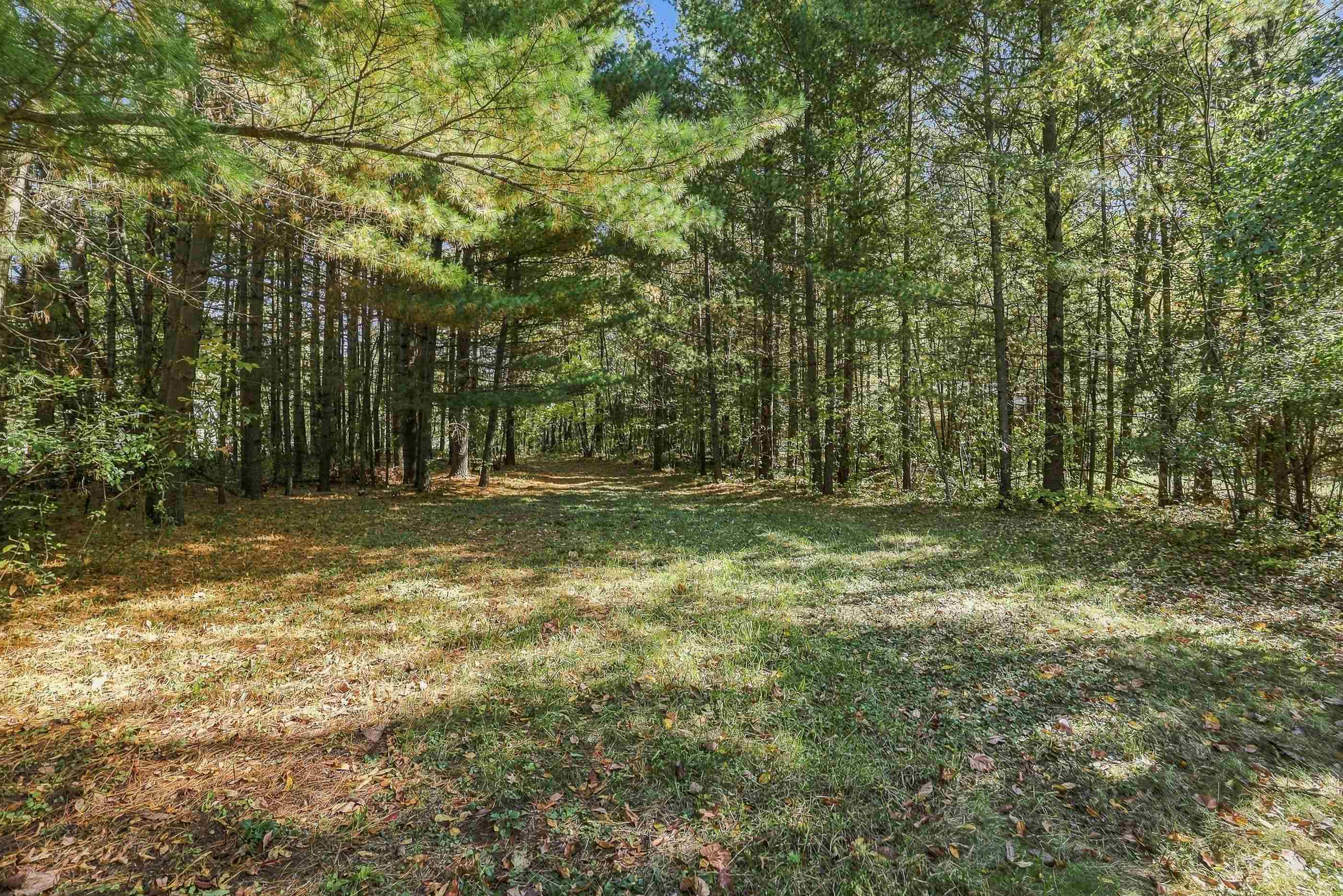 10767 Sandy Spring Drive Property Photo 7