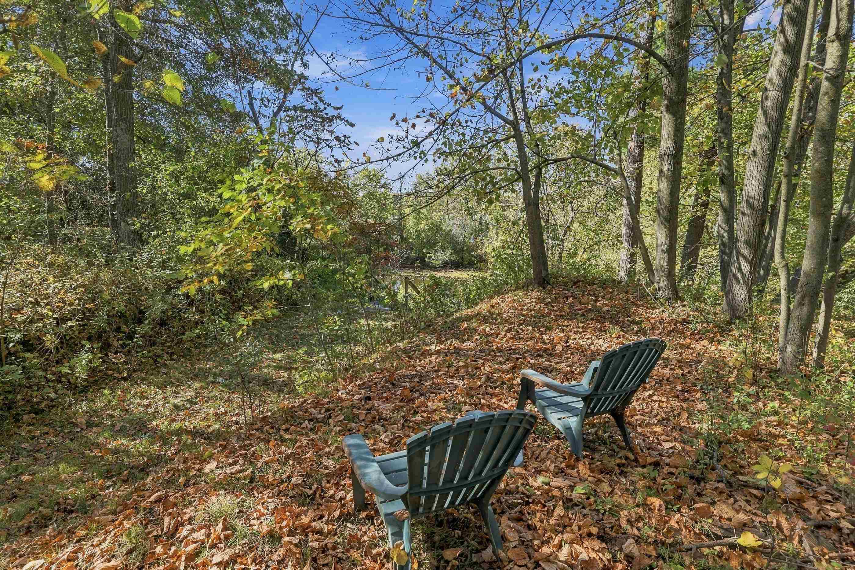 10767 Sandy Spring Drive Property Photo 9