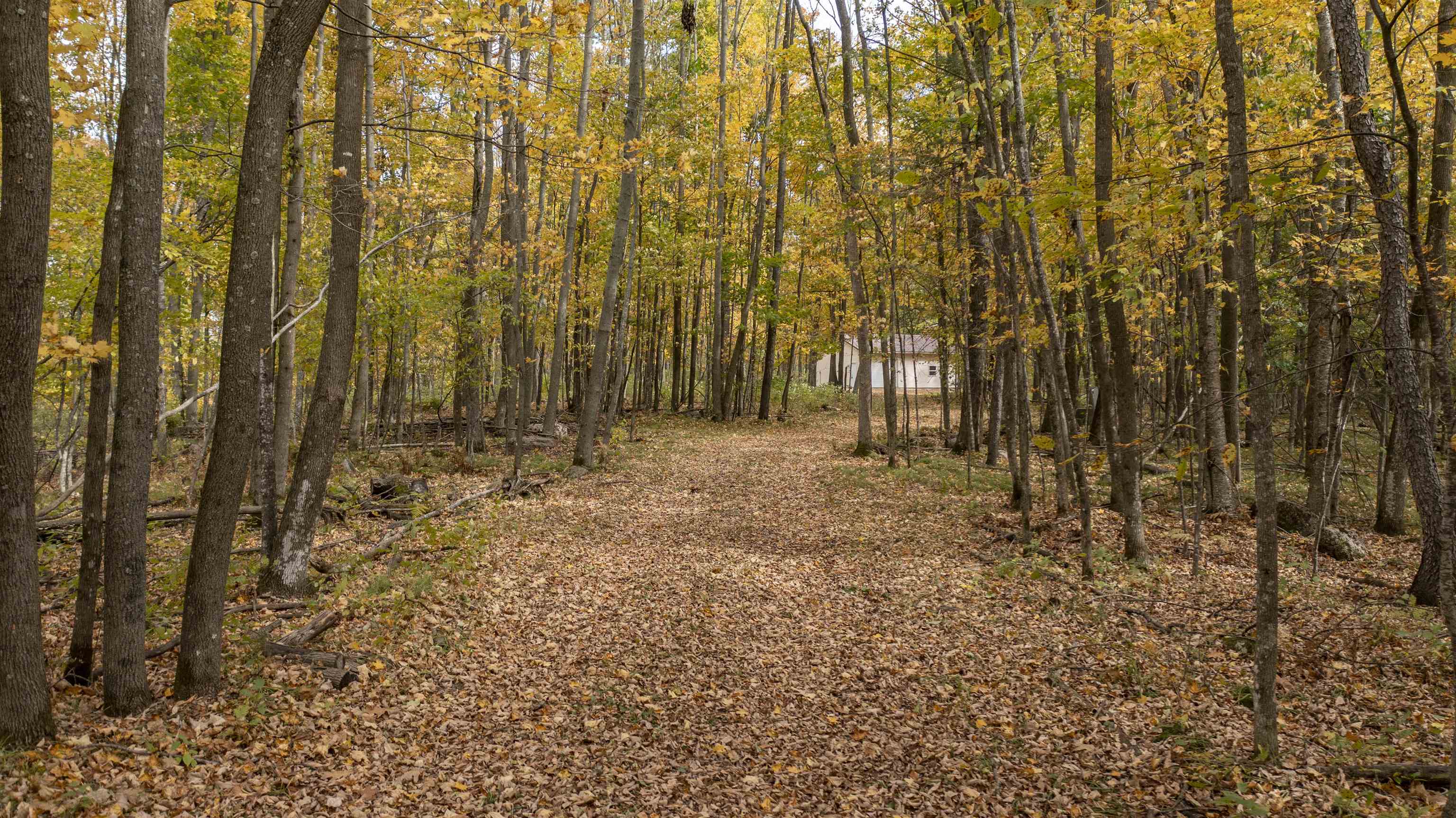N7784 Elm Tree Lane Property Photo 7