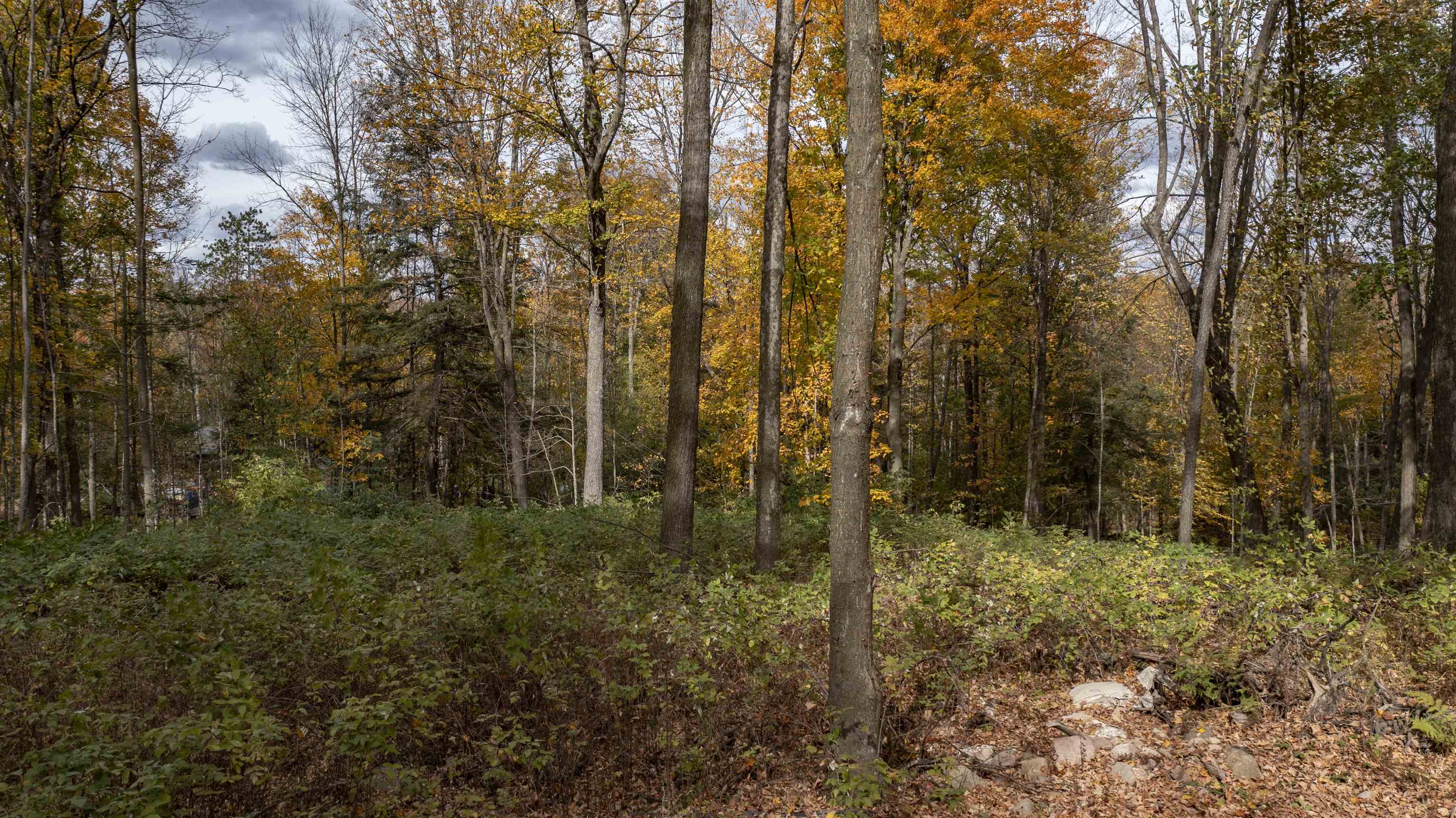 N7784 Elm Tree Lane Property Photo 19