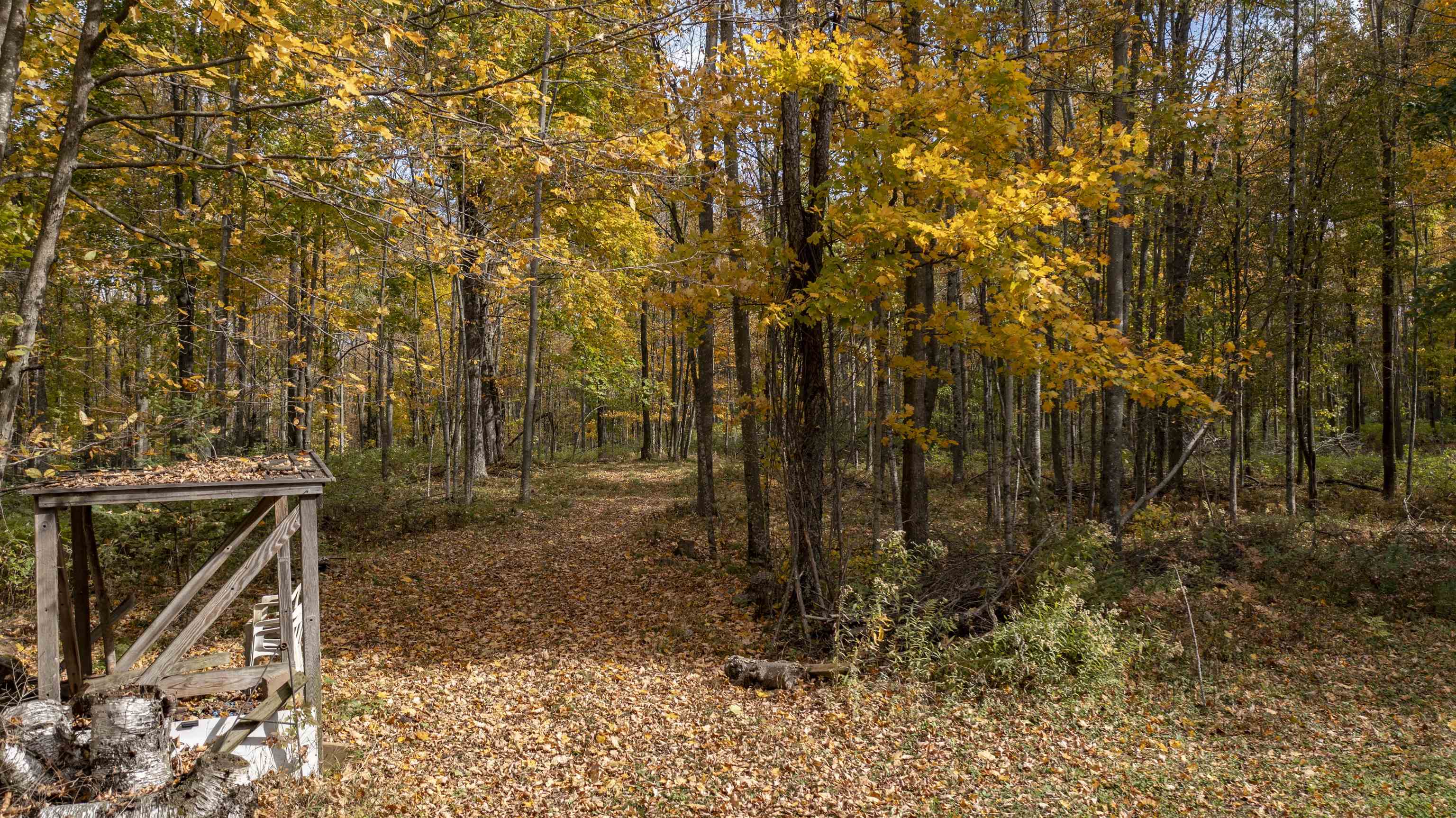 N7784 Elm Tree Lane Property Photo 20