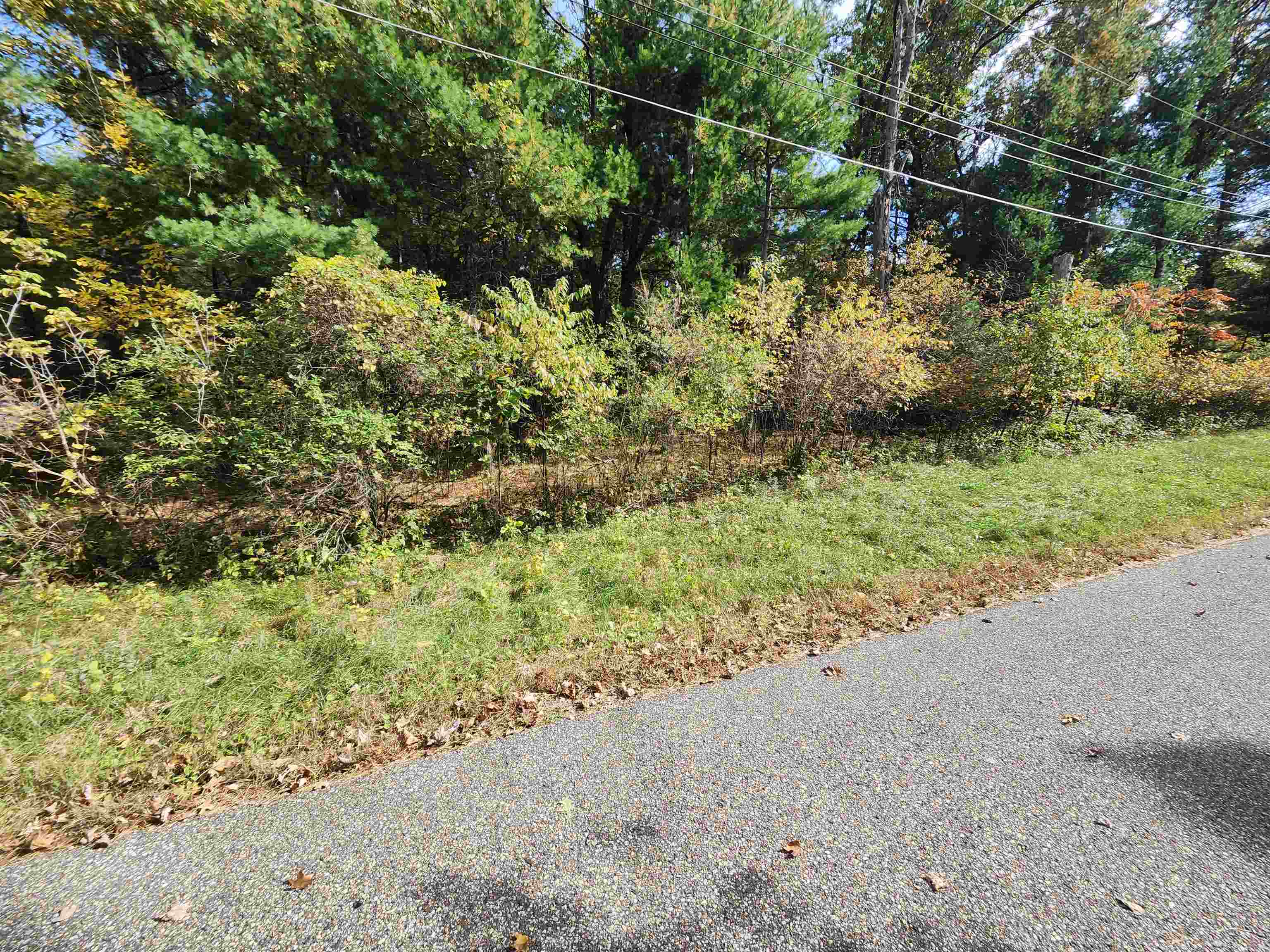 Lot 3 67th Street South Property Photo 2