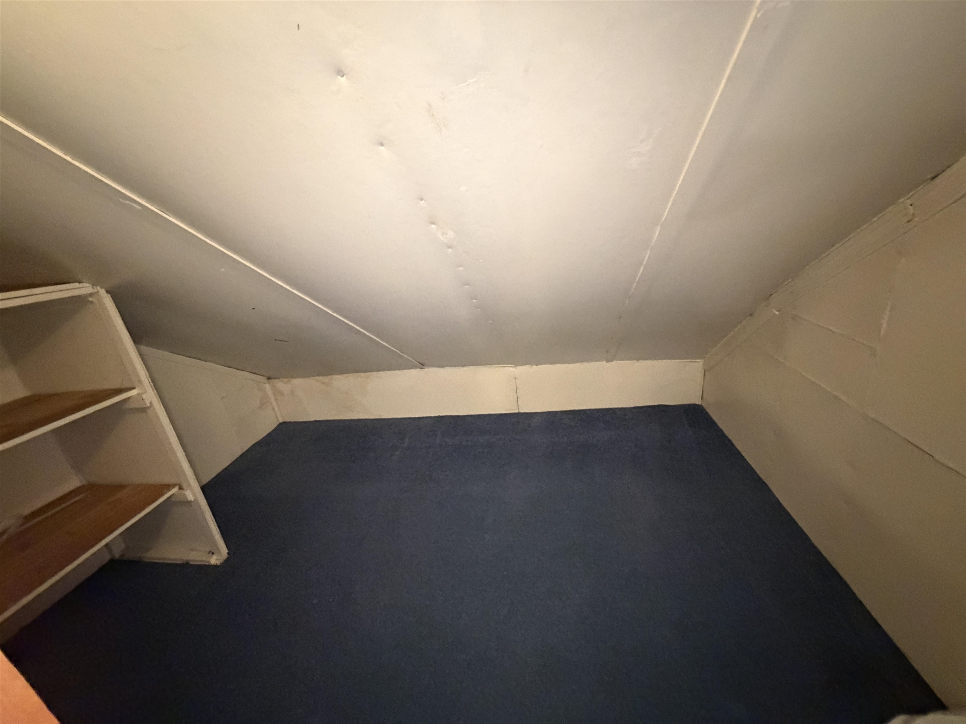 409 7th Street Property Photo 23