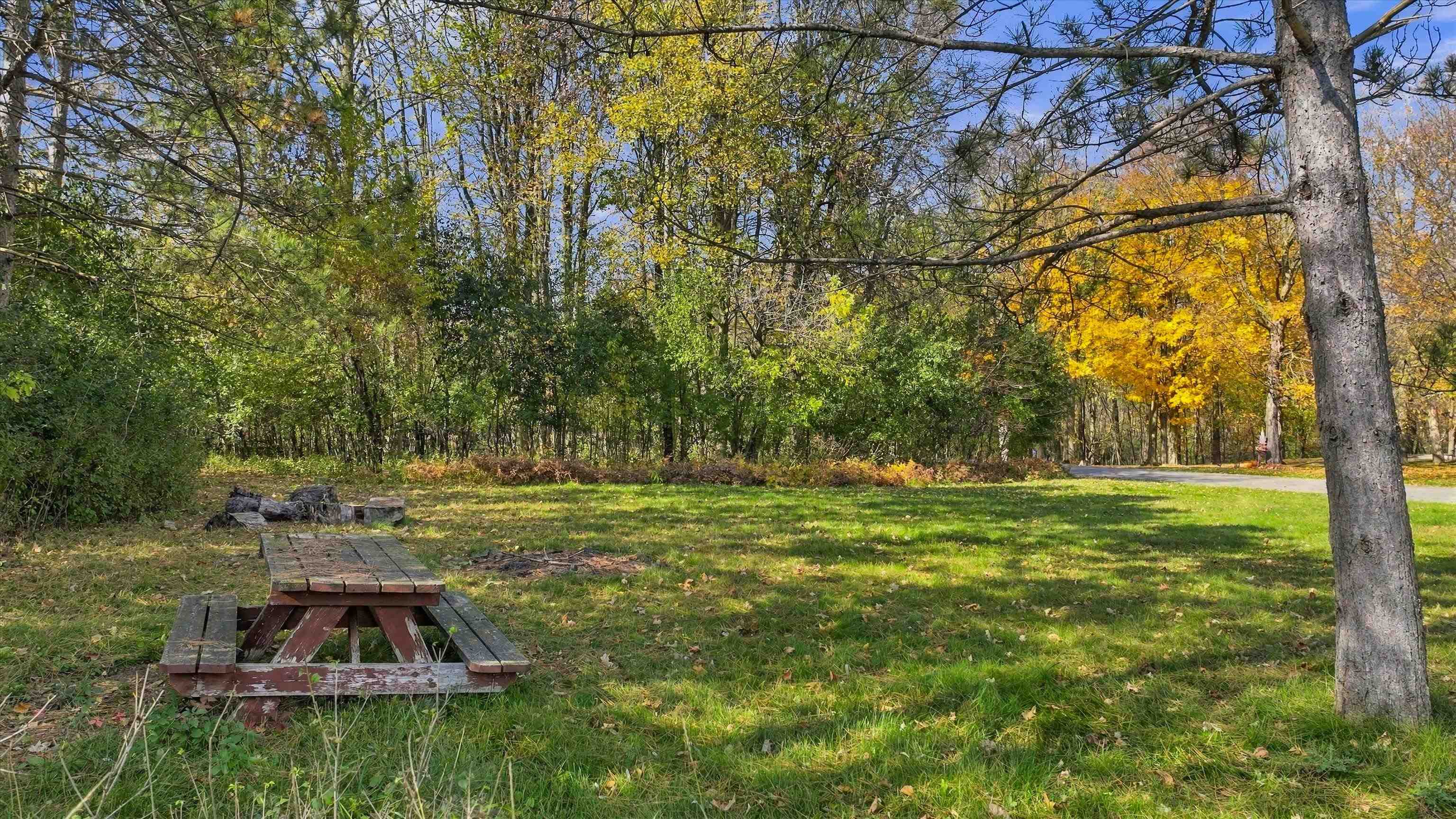 000000 Cozy Lane Property Photo 3