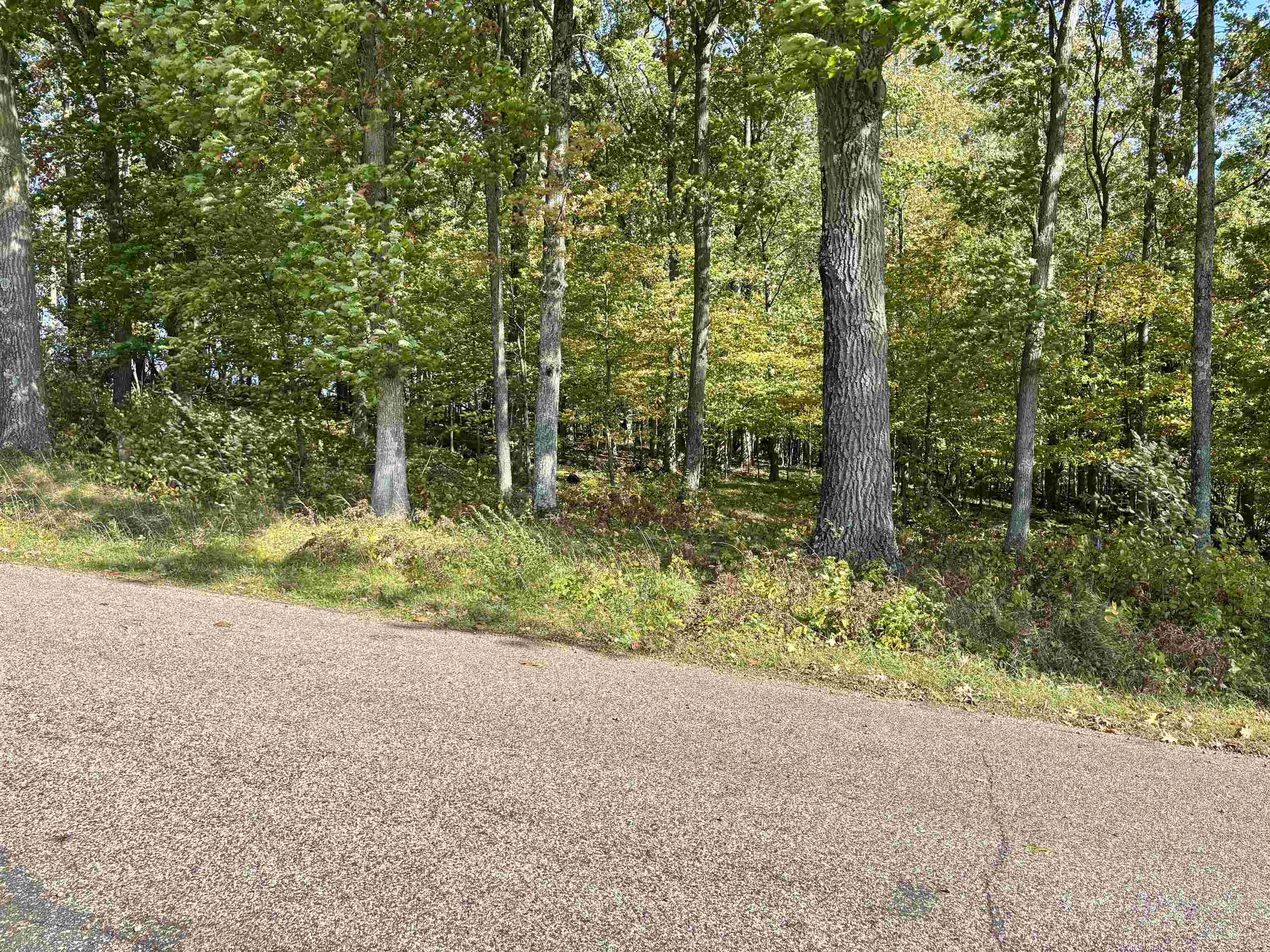 Lot 1 Brandt Road Property Photo 2