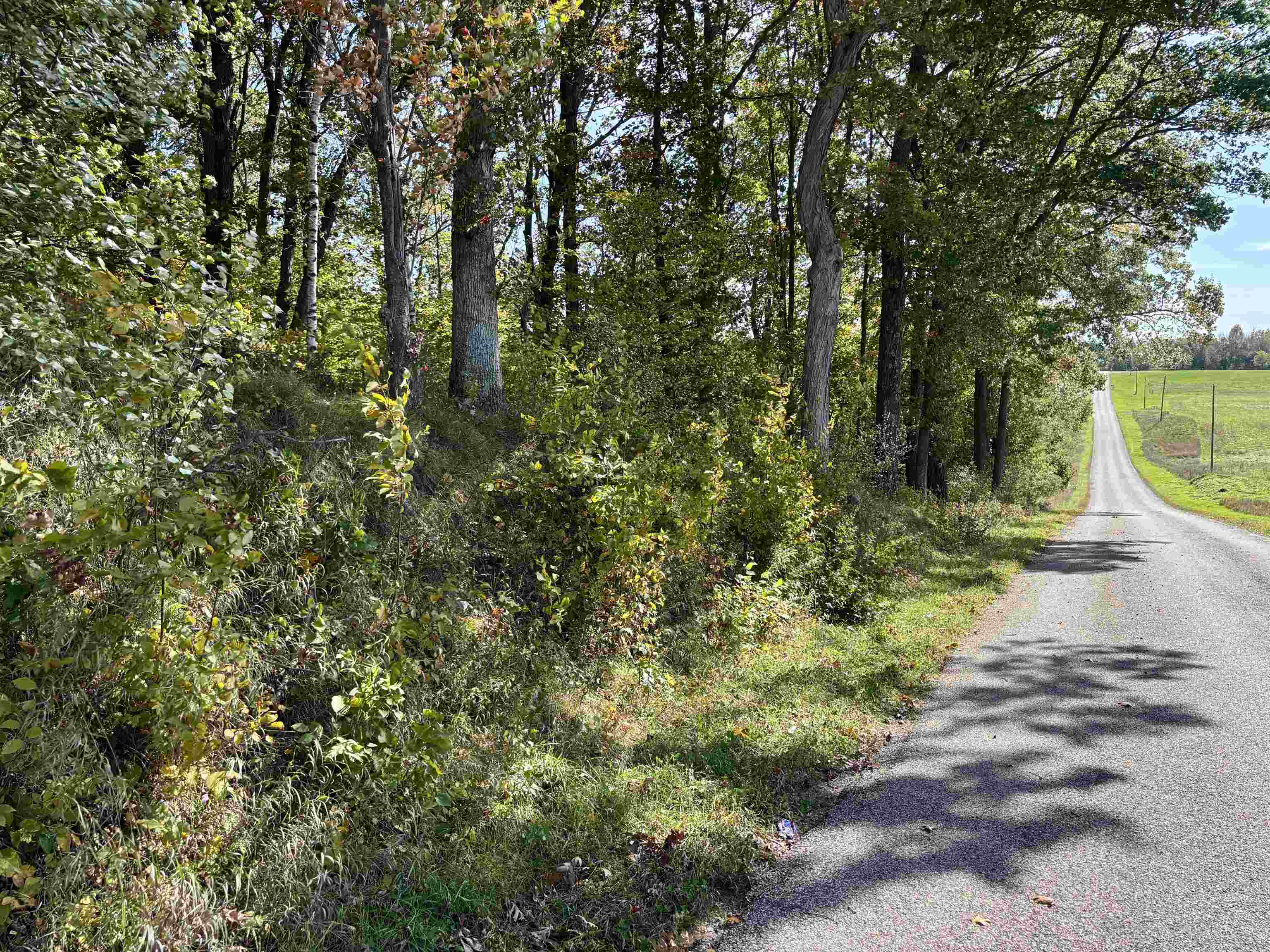 Lot 1 Brandt Road Property Photo 3