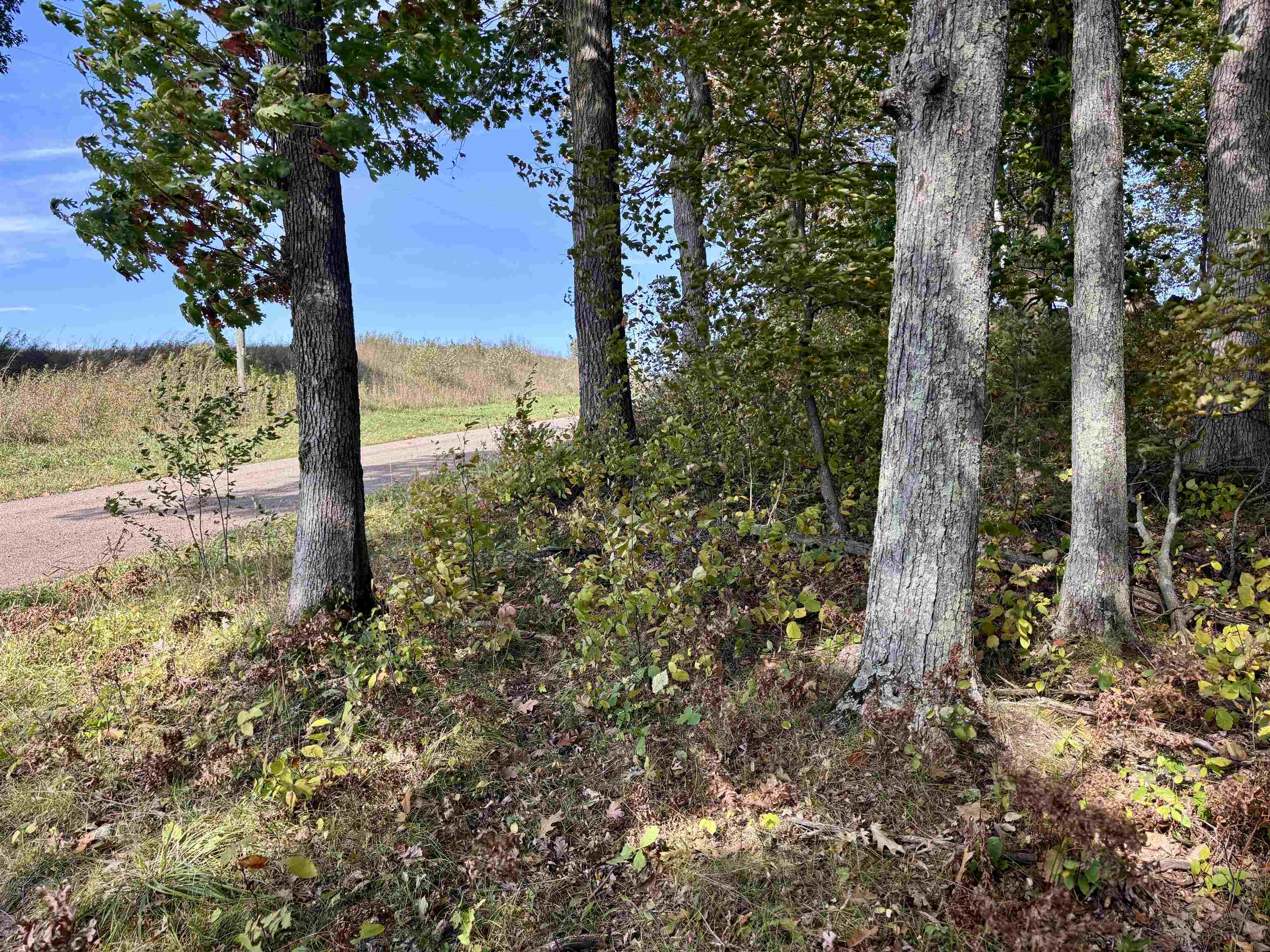 Lot 1 Brandt Road Property Photo 4