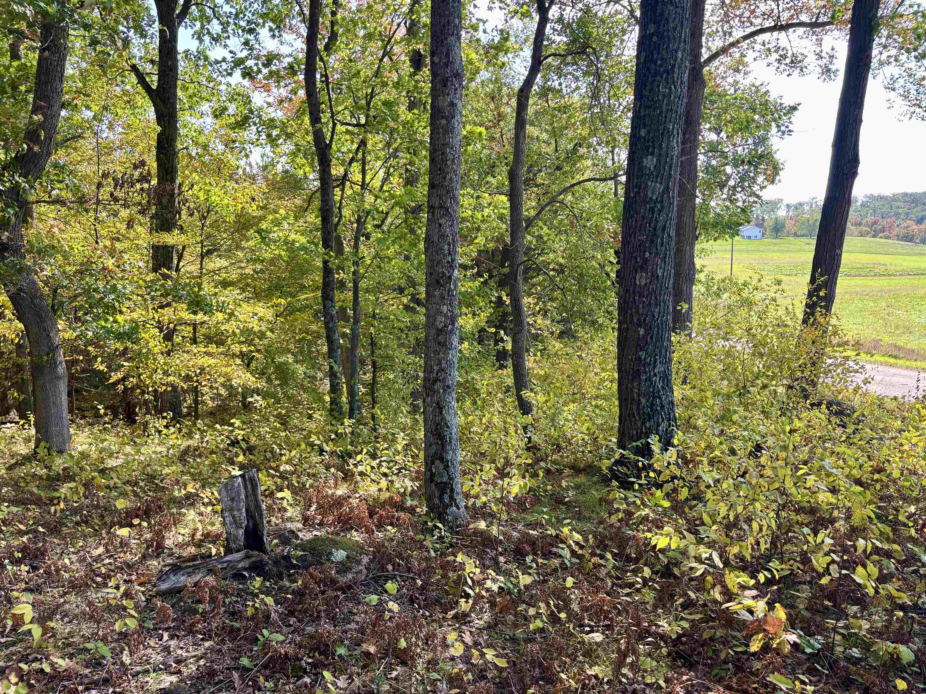 Lot 1 Brandt Road Property Photo 5