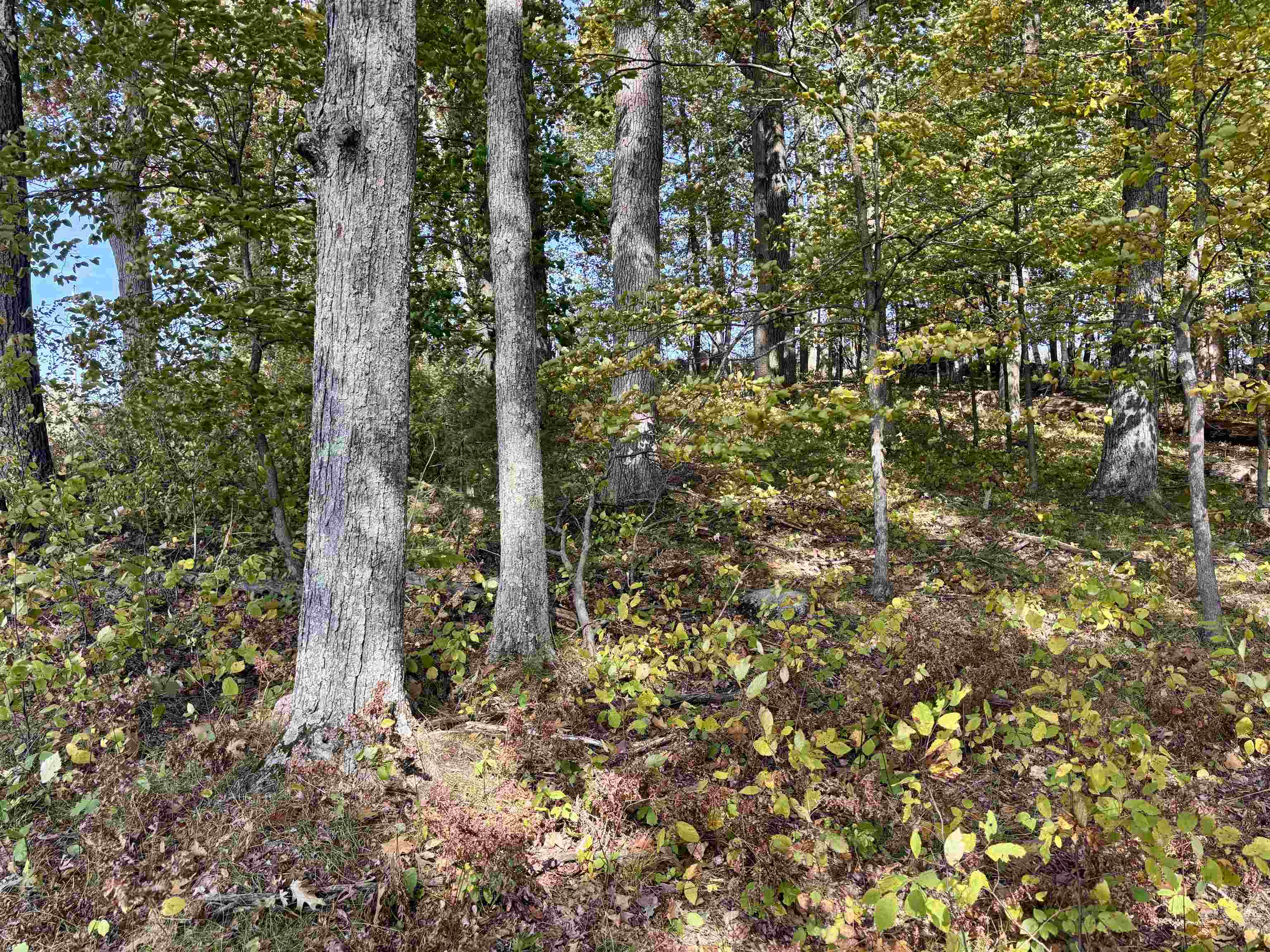 Lot 1 Brandt Road Property Photo 6