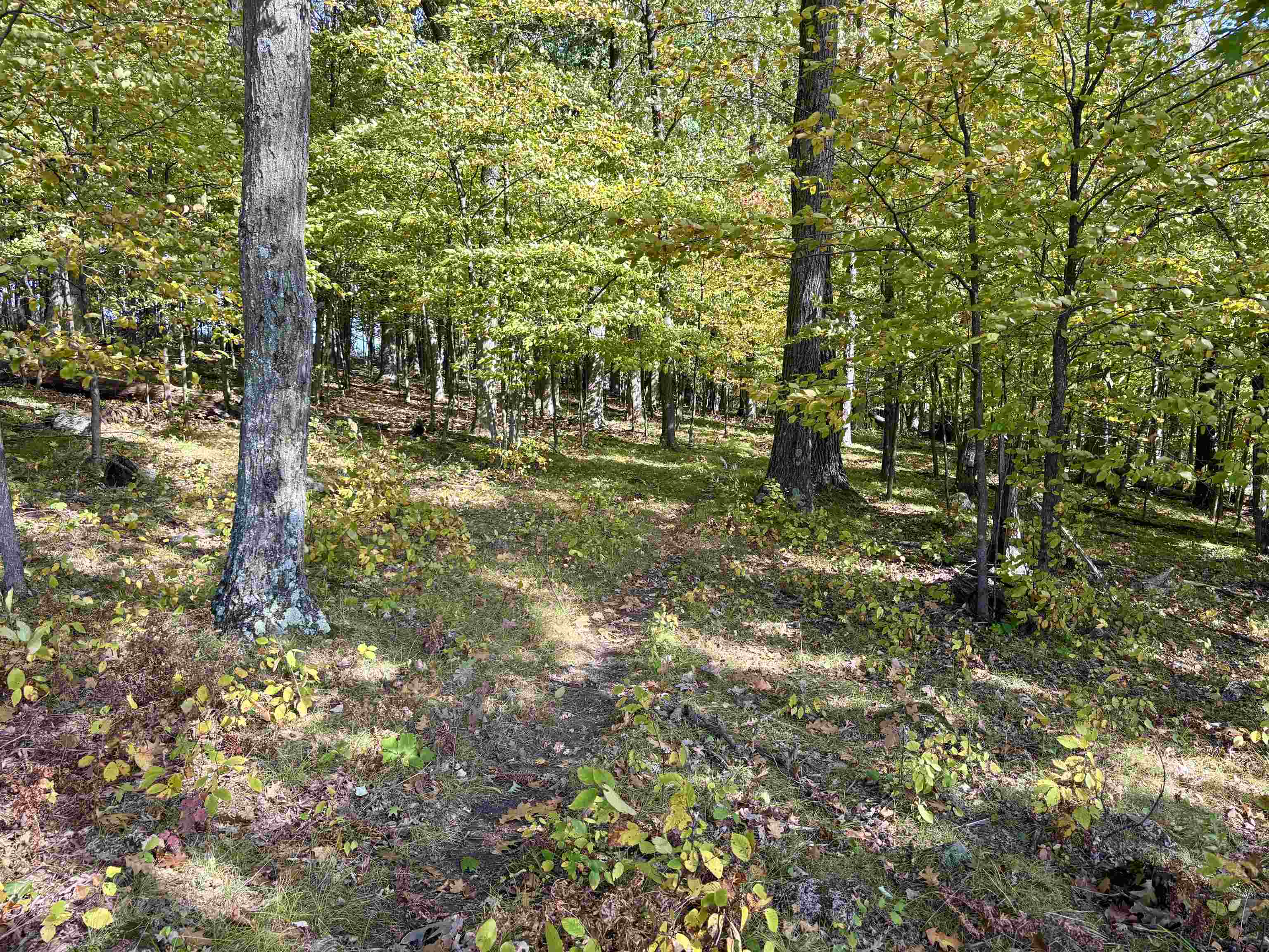 Lot 1 Brandt Road Property Photo 7