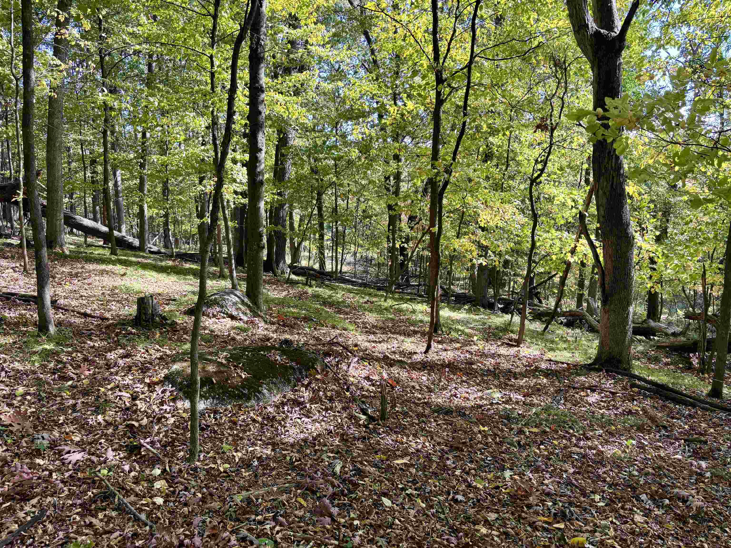 Lot 1 Brandt Road Property Photo 8
