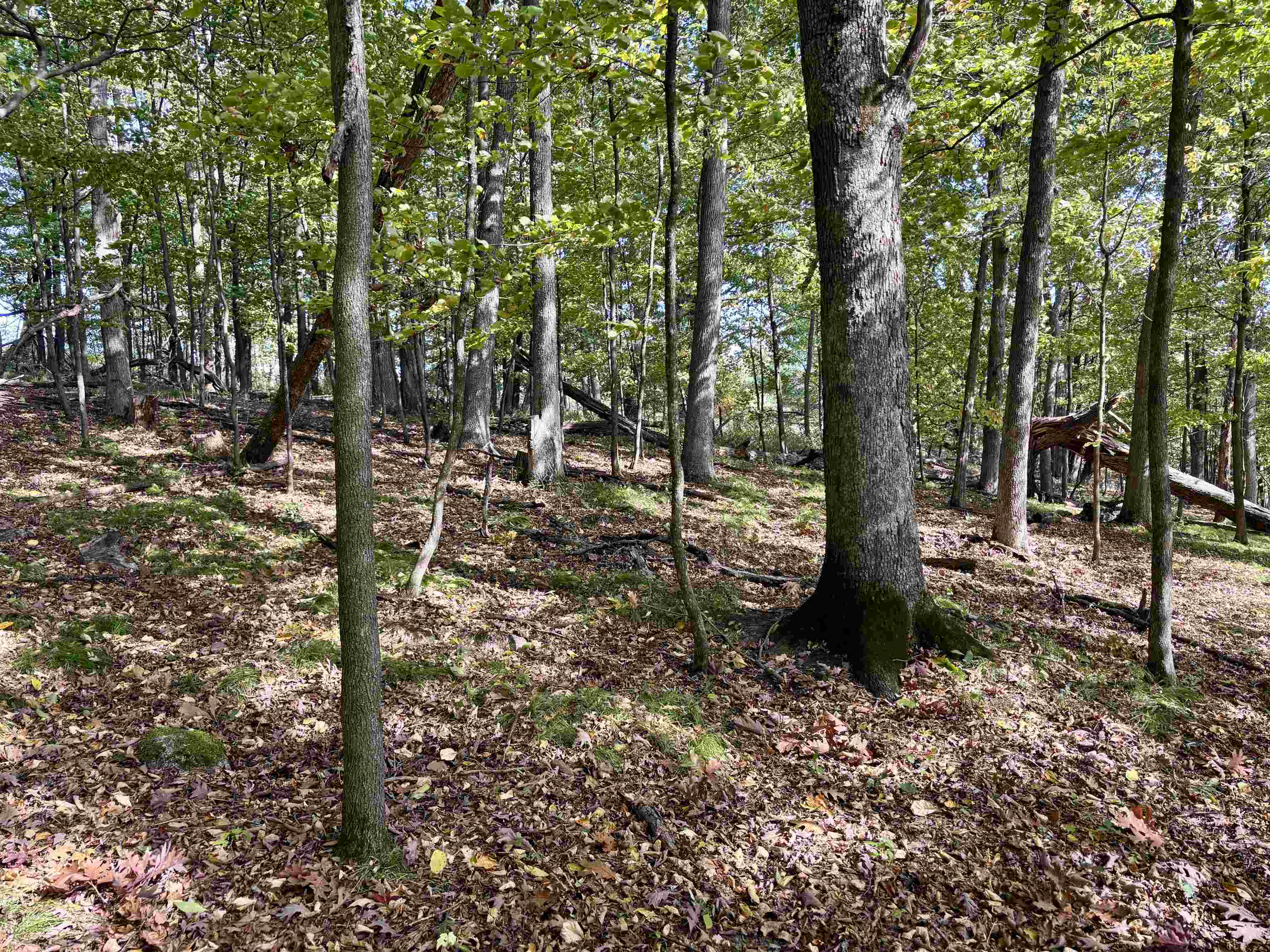 Lot 1 Brandt Road Property Photo 9