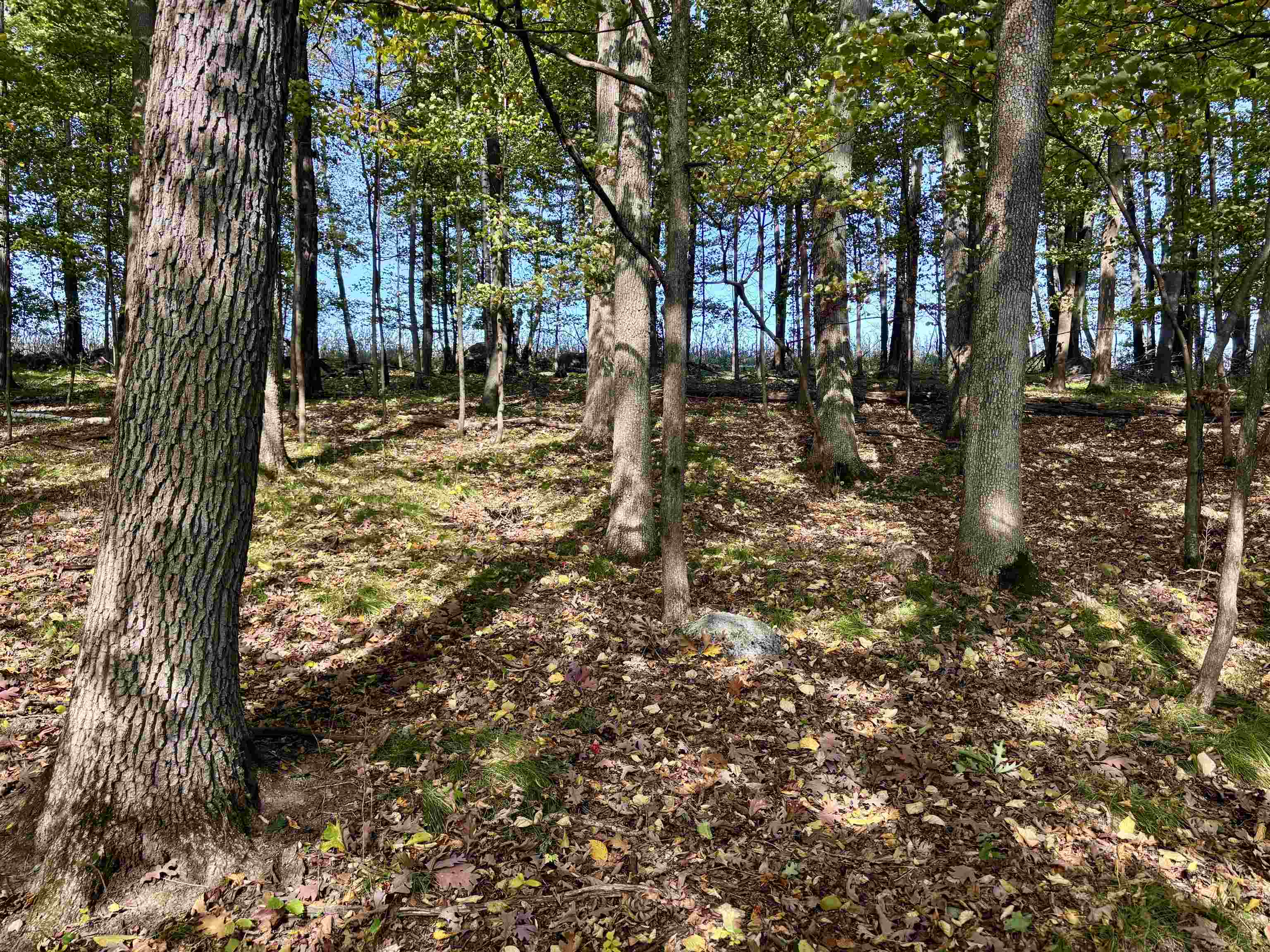 Lot 1 Brandt Road Property Photo 10