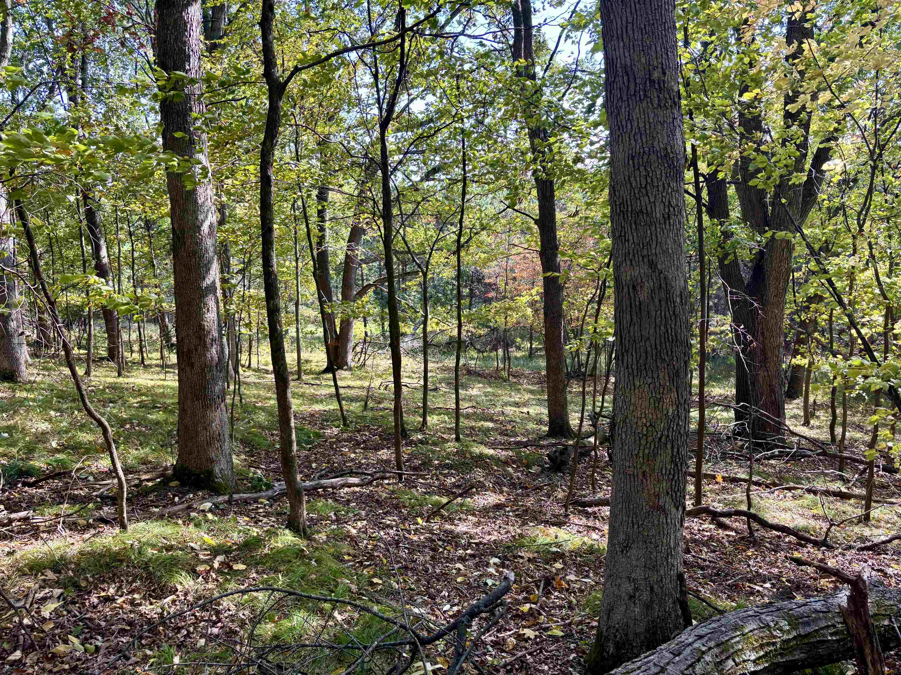 Lot 1 Brandt Road Property Photo 11