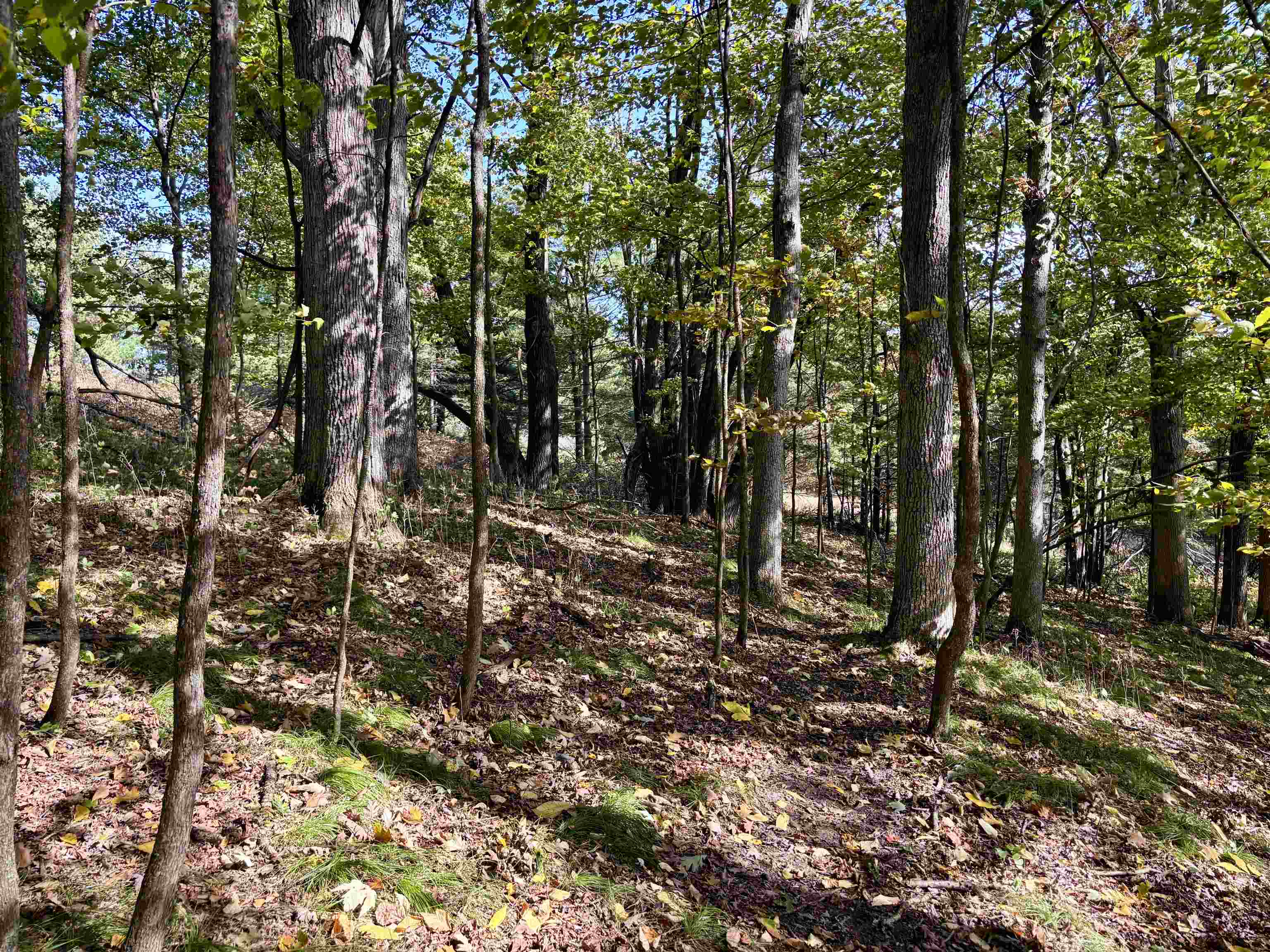 Lot 1 Brandt Road Property Photo 12