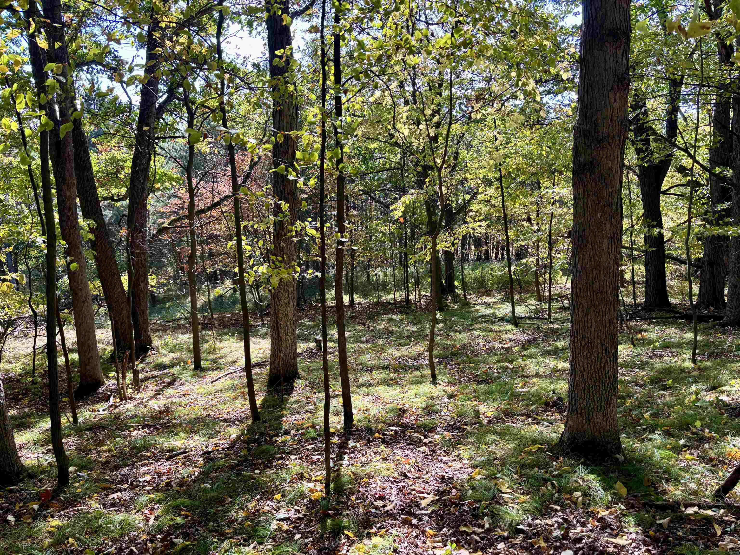 Lot 1 Brandt Road Property Photo 13