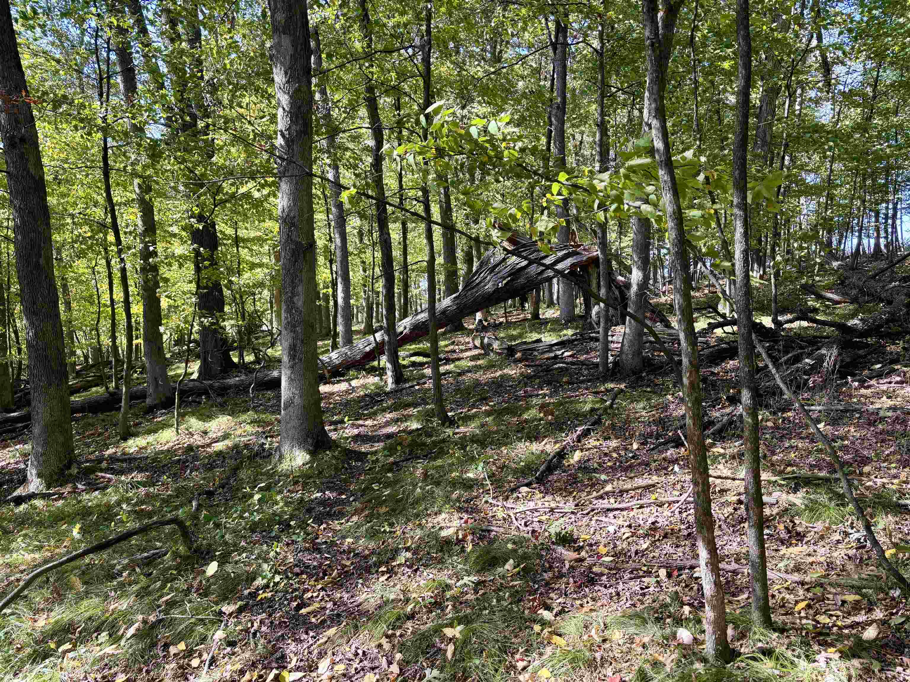 Lot 1 Brandt Road Property Photo 14
