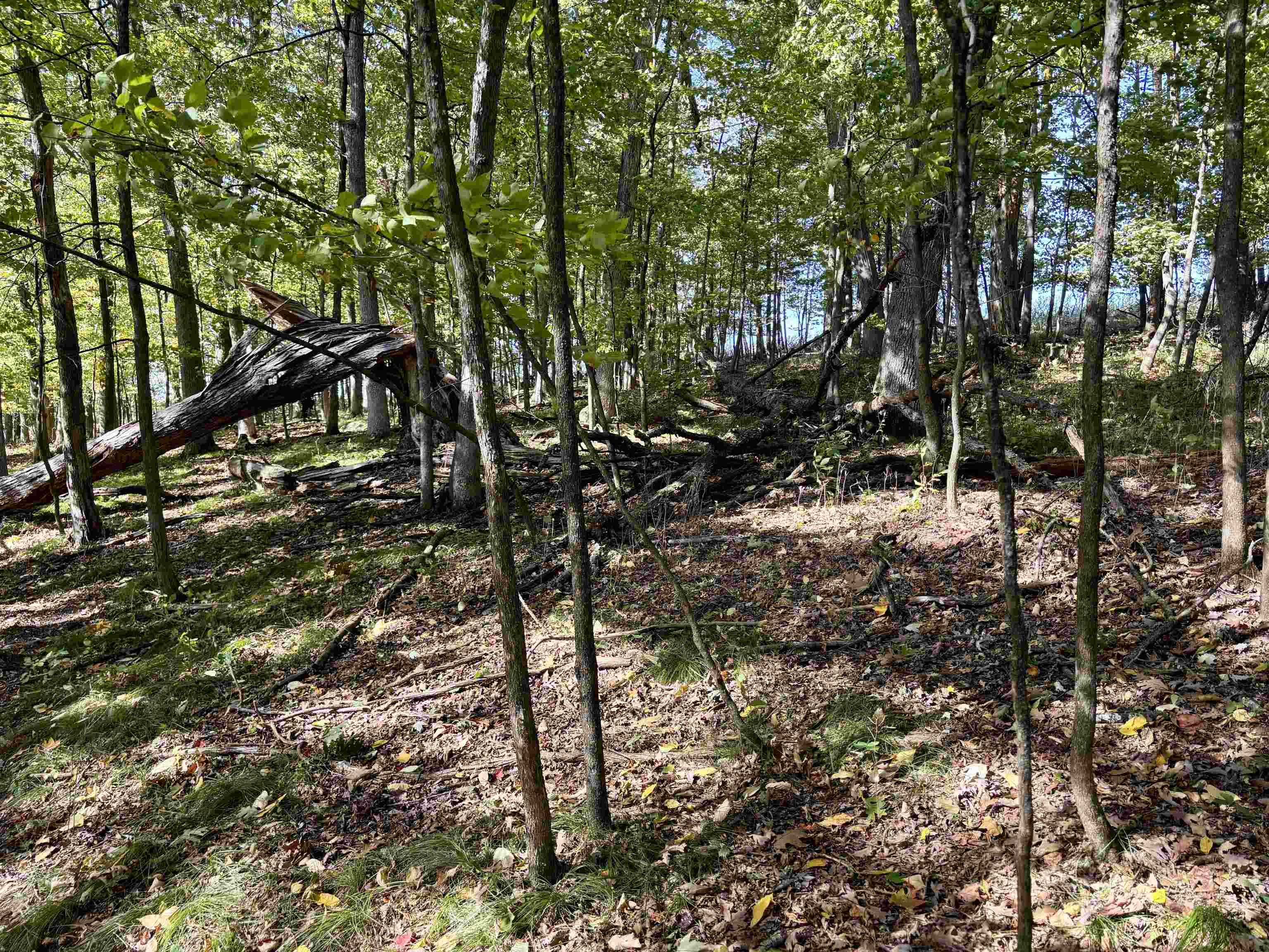 Lot 1 Brandt Road Property Photo 15