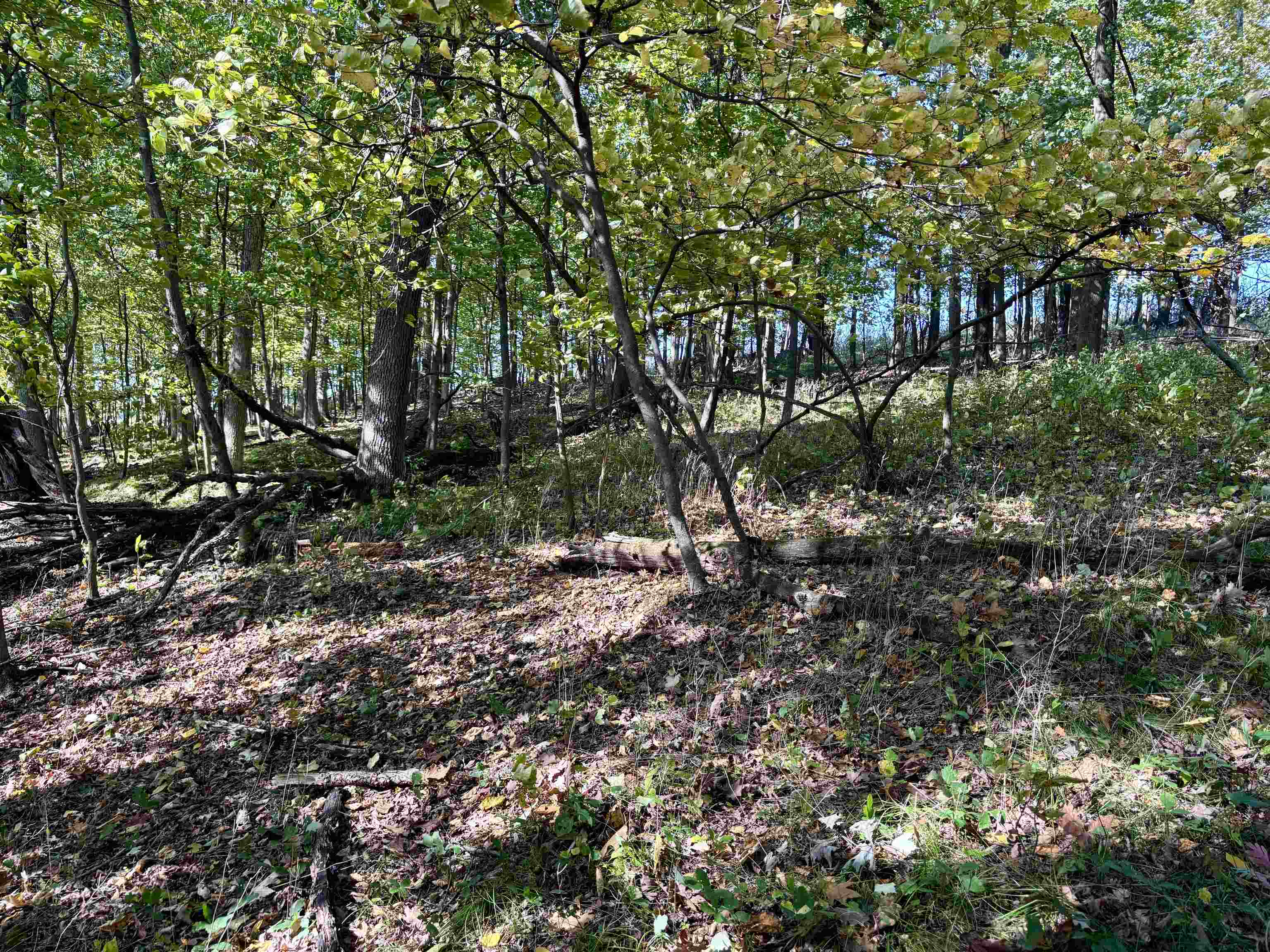 Lot 1 Brandt Road Property Photo 16