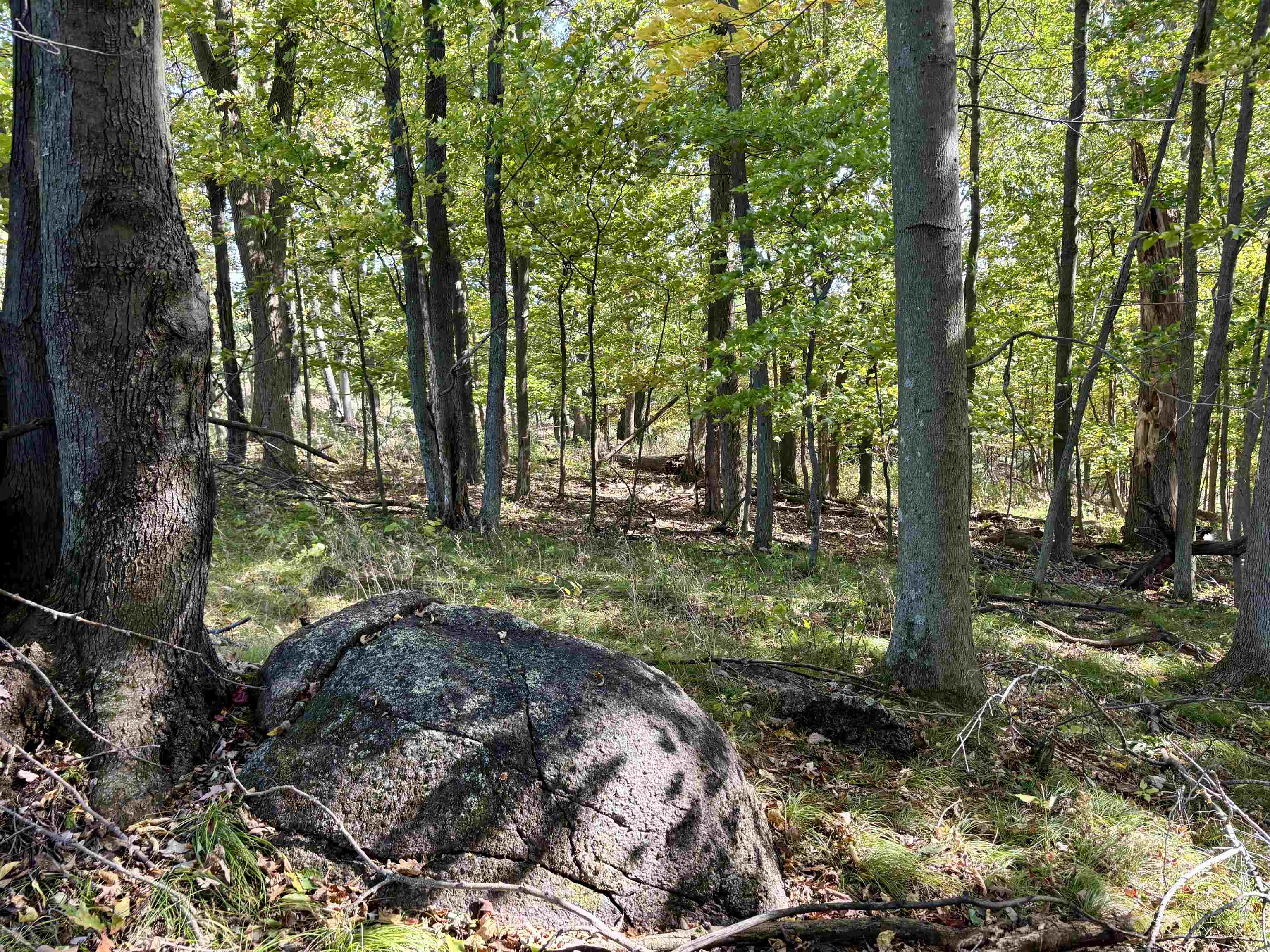 Lot 1 Brandt Road Property Photo 17