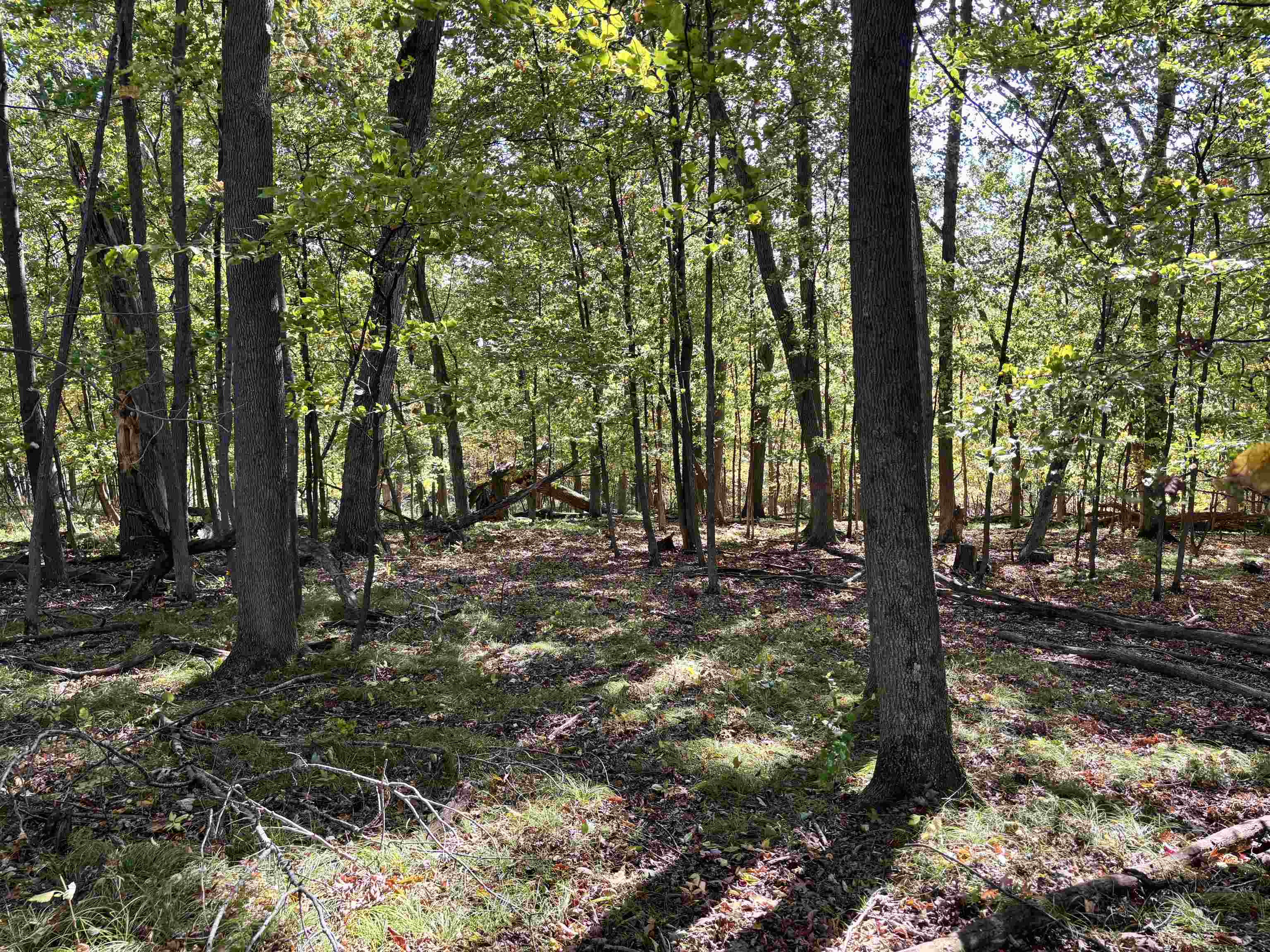 Lot 1 Brandt Road Property Photo 18