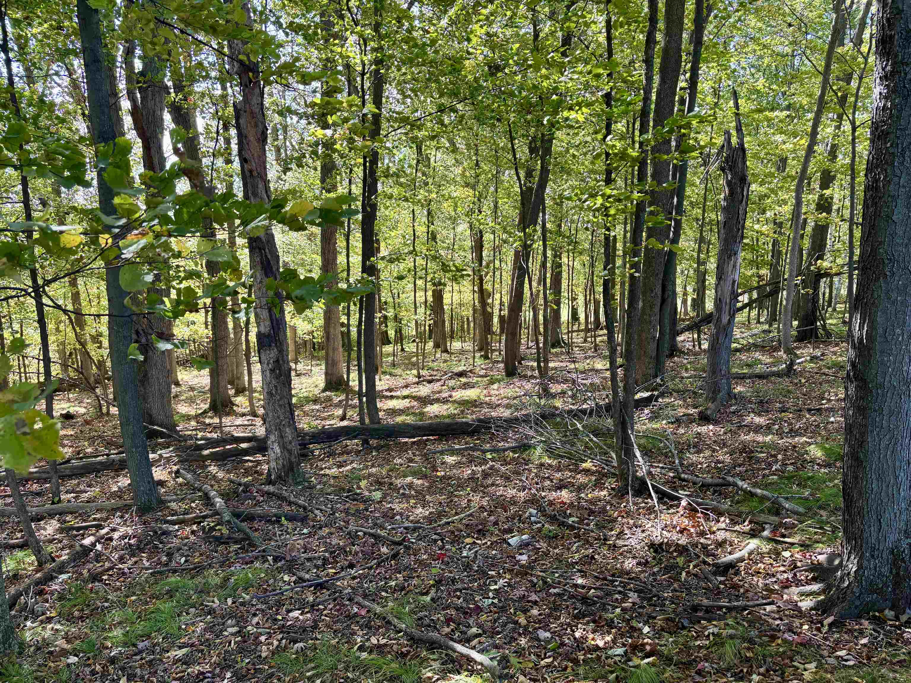 Lot 1 Brandt Road Property Photo 19