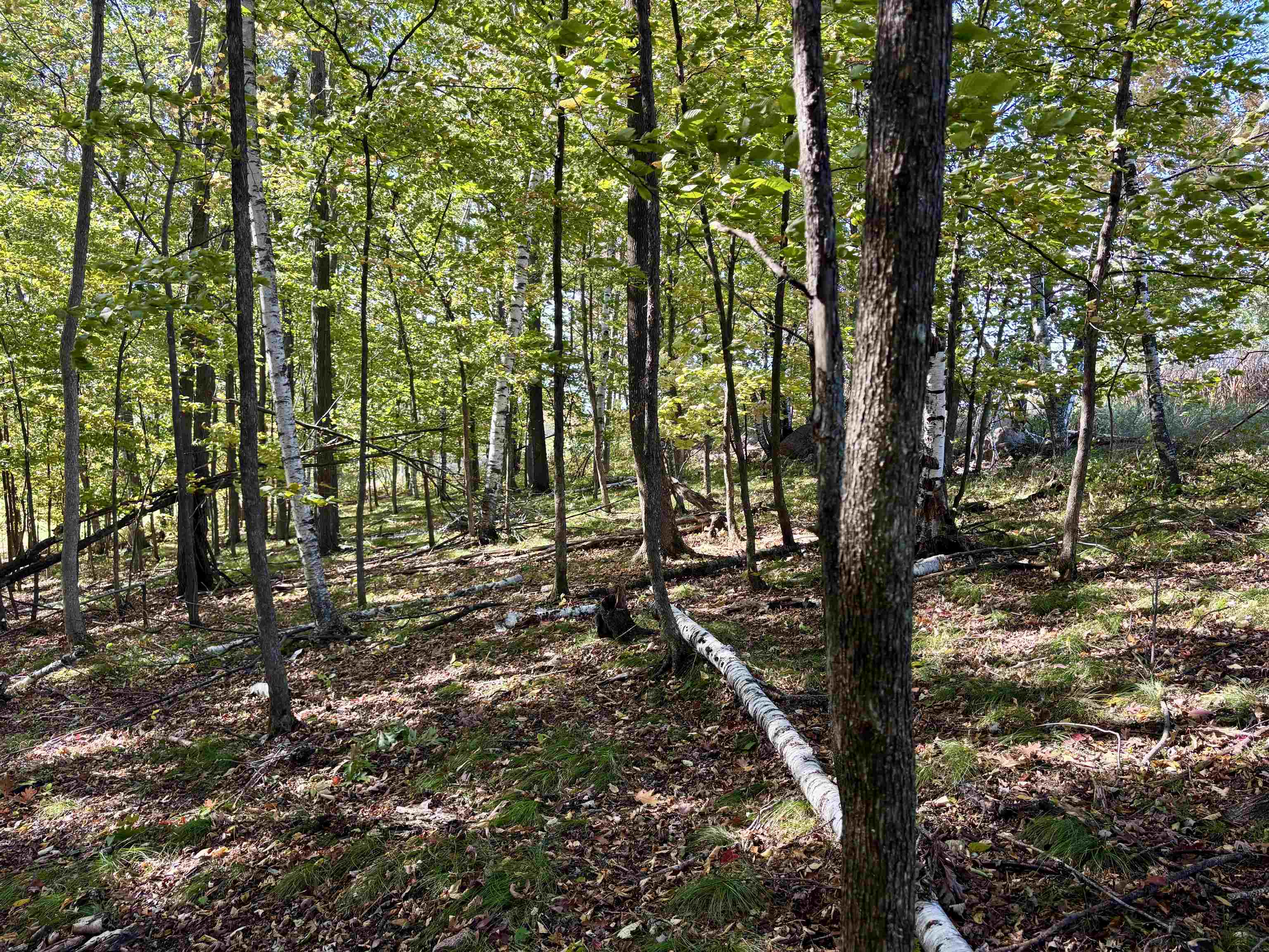 Lot 1 Brandt Road Property Photo 20