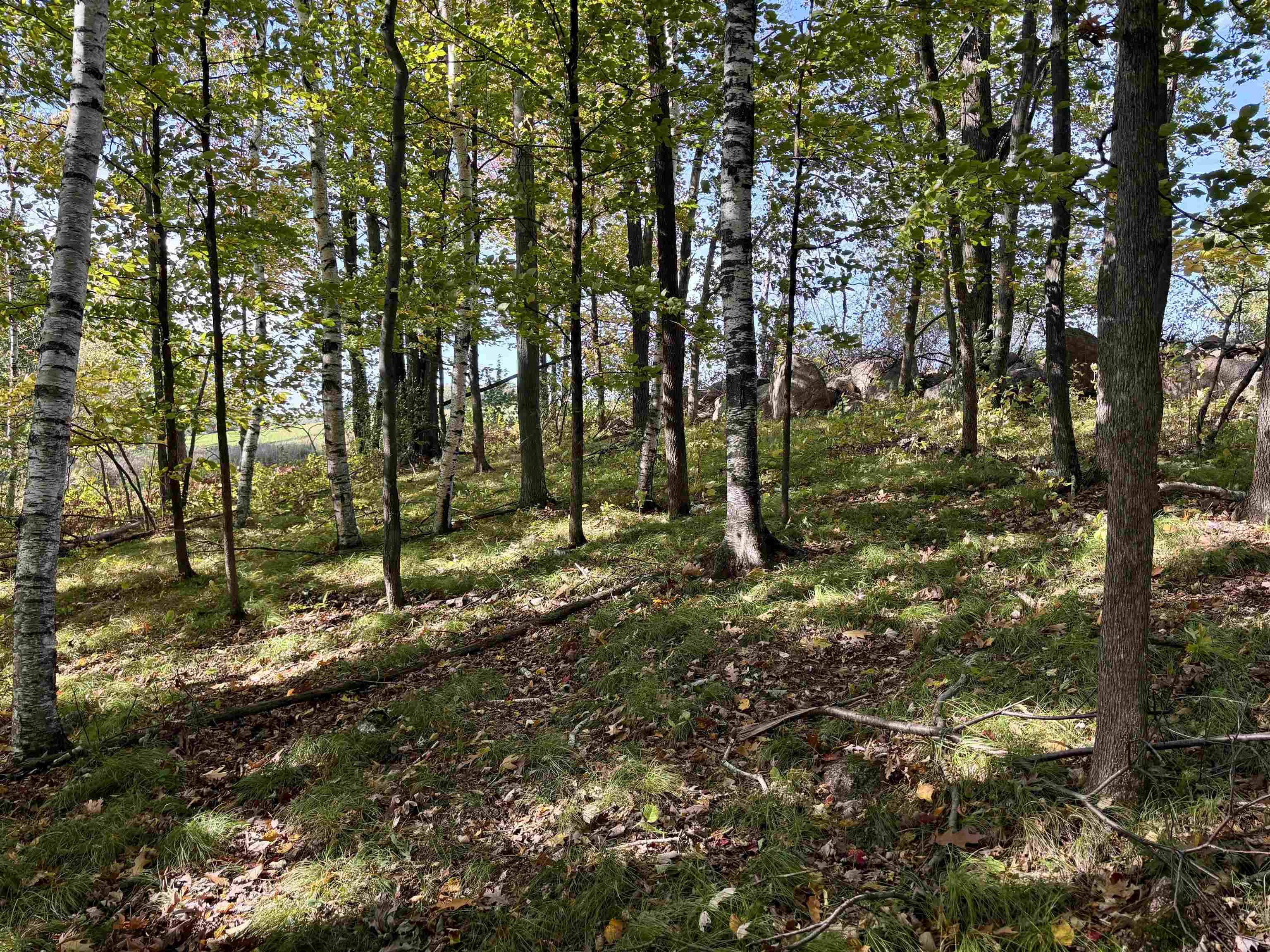Lot 1 Brandt Road Property Photo 21