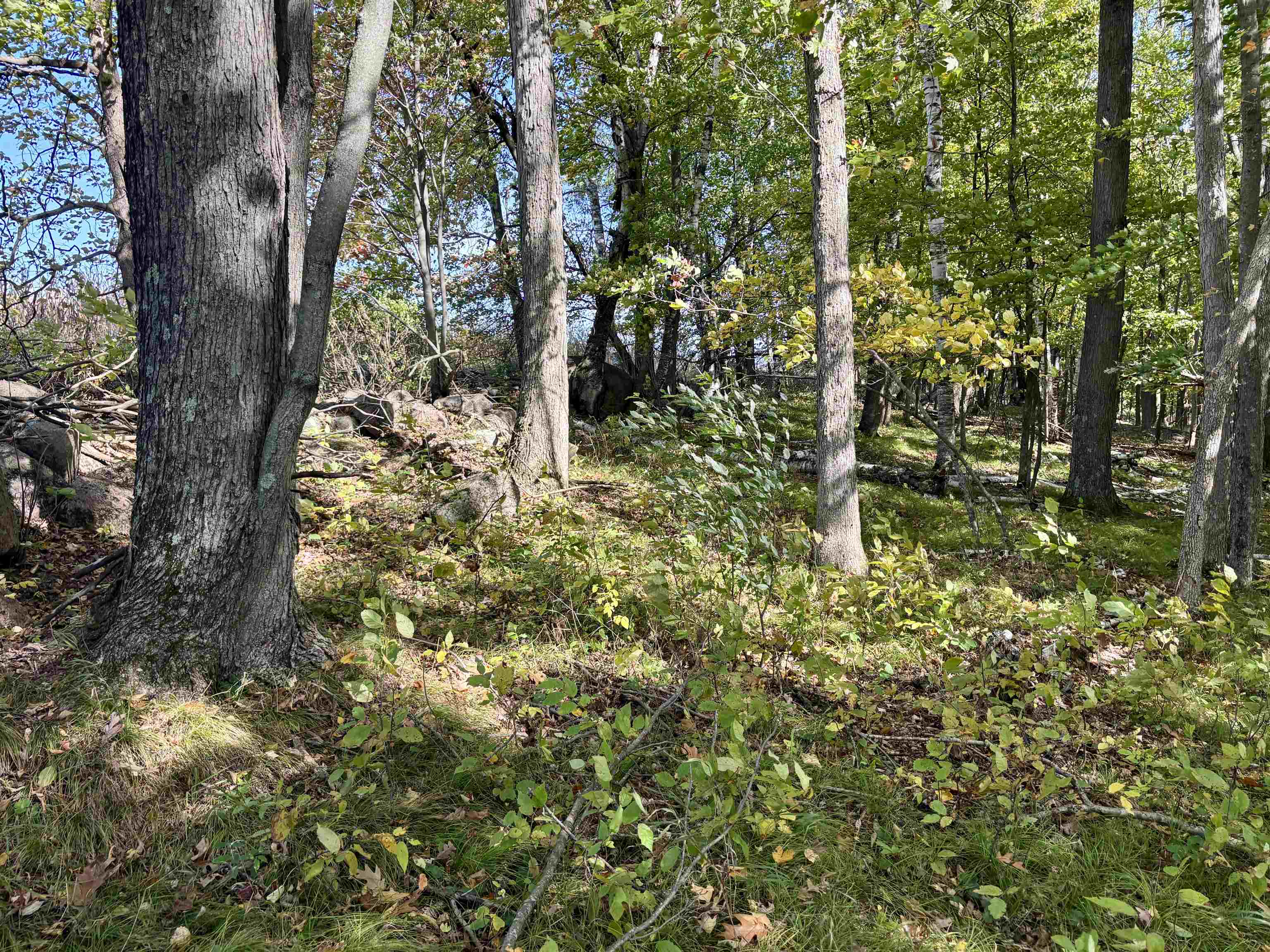 Lot 1 Brandt Road Property Photo 22