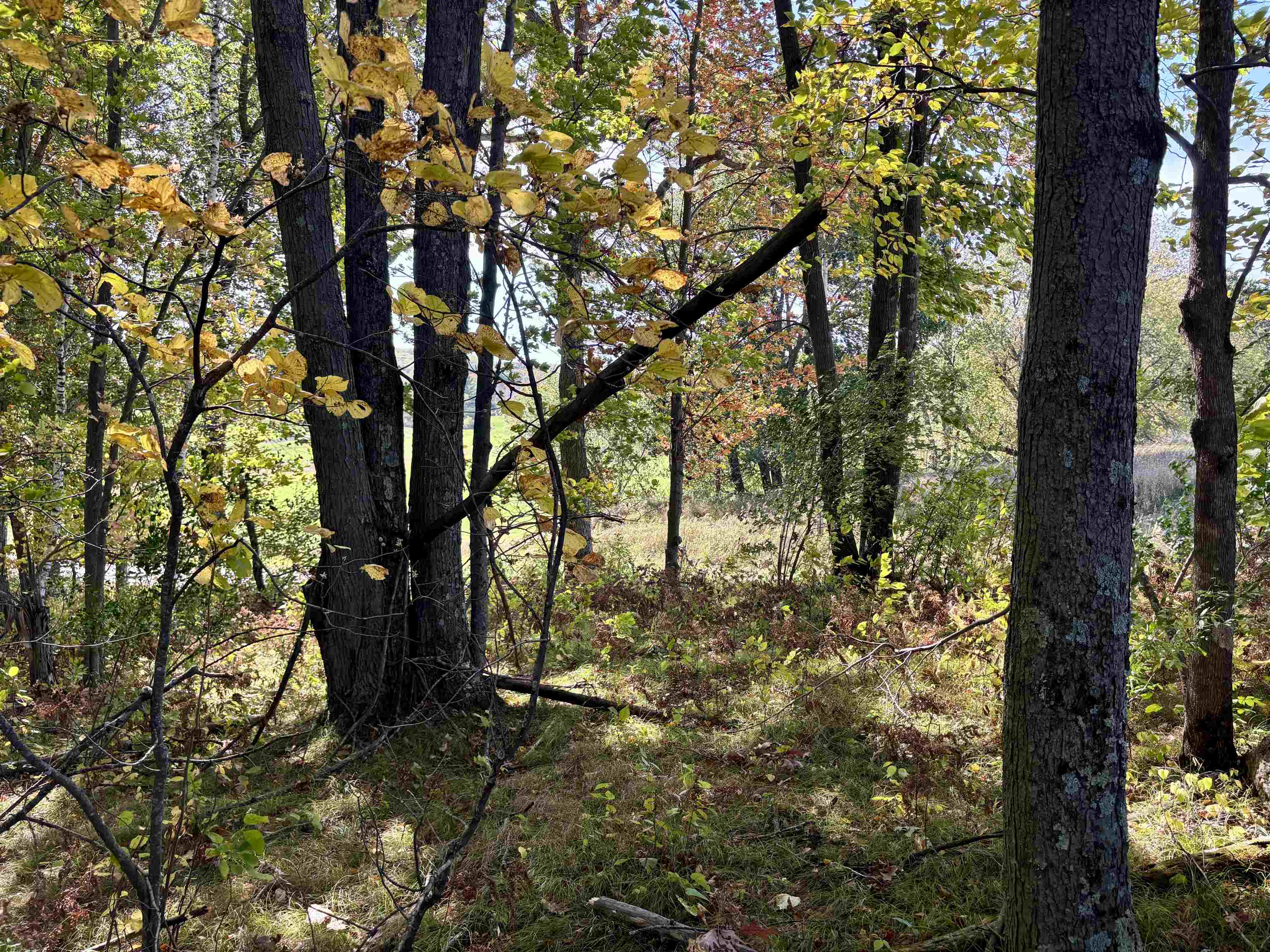 Lot 1 Brandt Road Property Photo 23