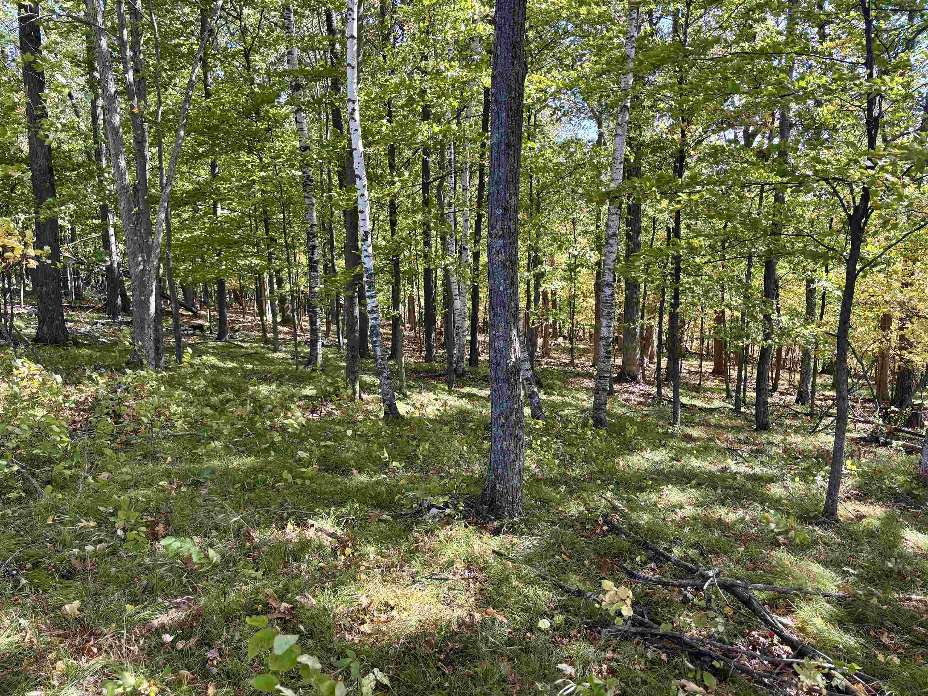 Lot 1 Brandt Road Property Photo 25