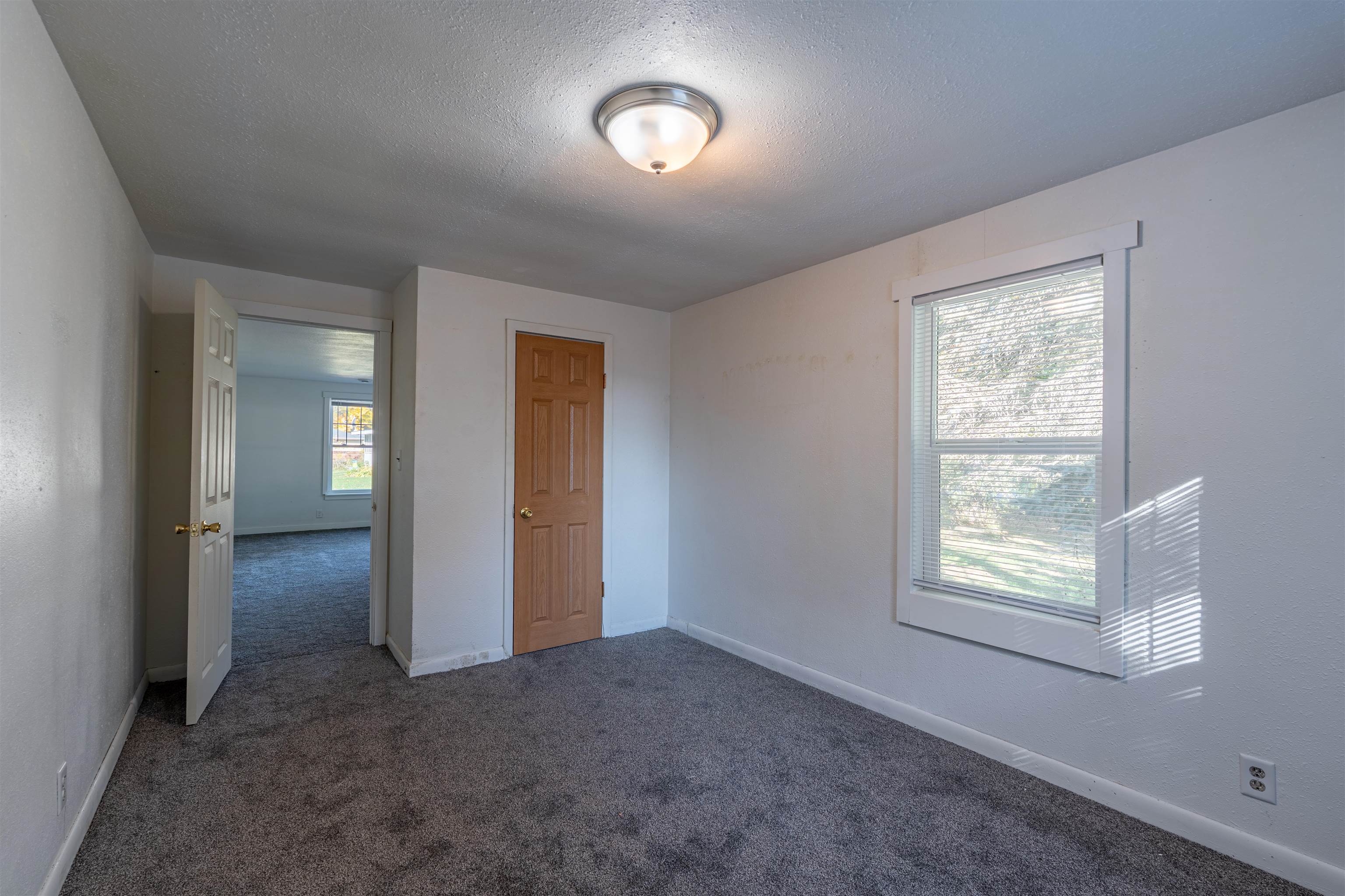 119 Adolph Street Property Photo 14