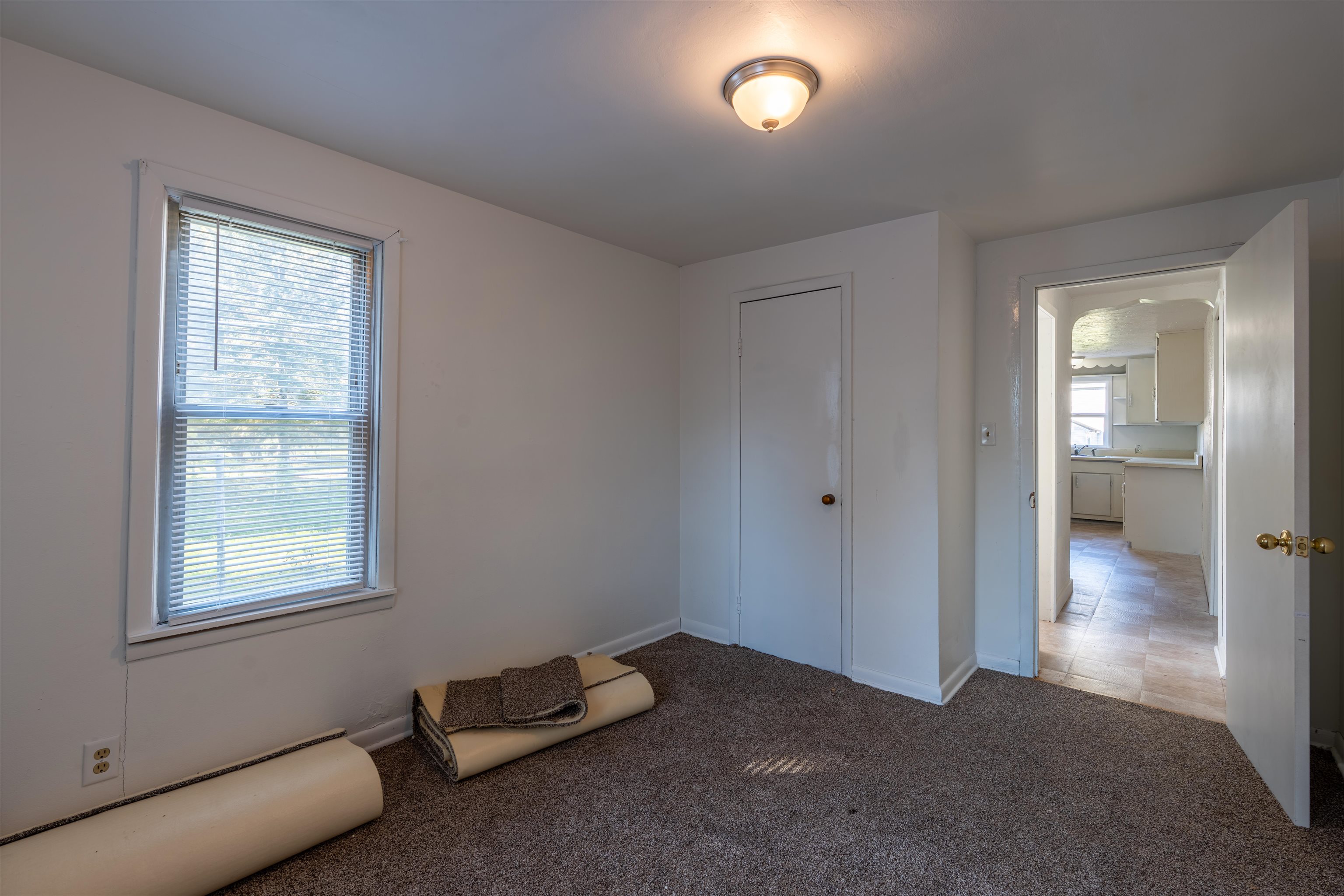 119 Adolph Street Property Photo 16