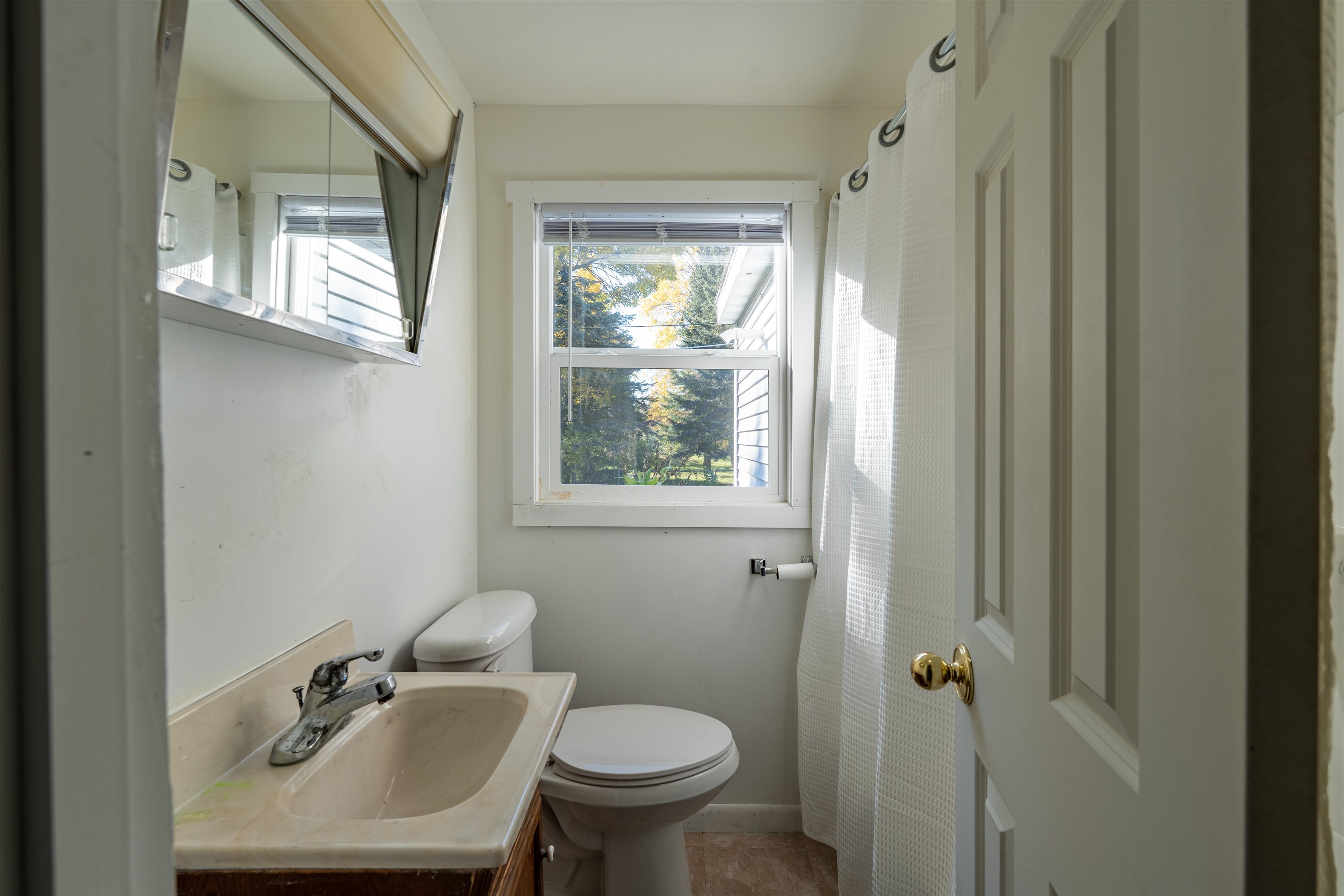 119 Adolph Street Property Photo 17