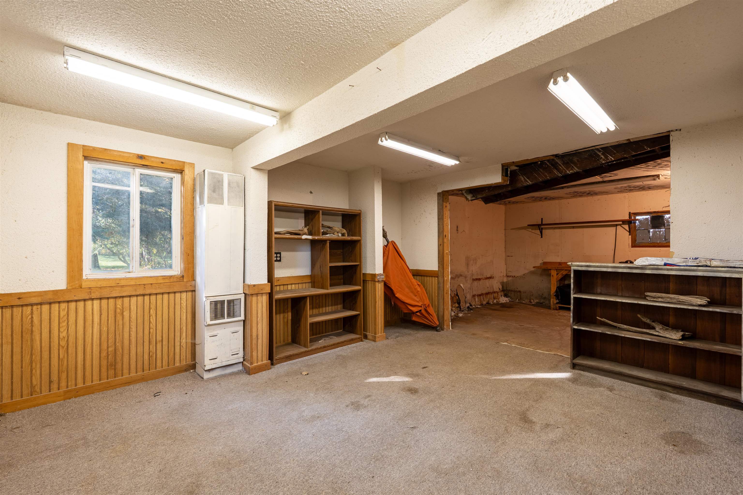 119 Adolph Street Property Photo 22