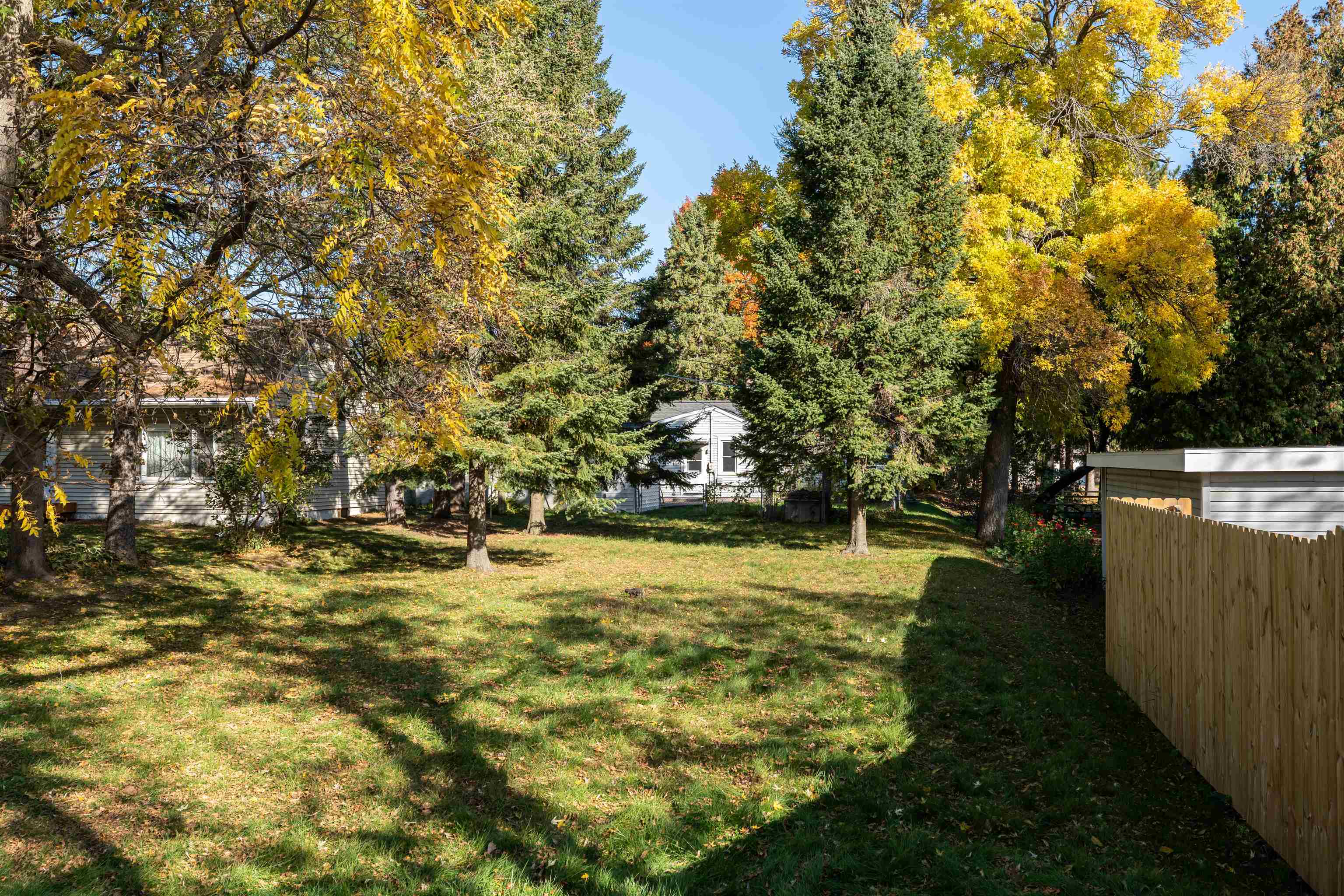119 Adolph Street Property Photo 34
