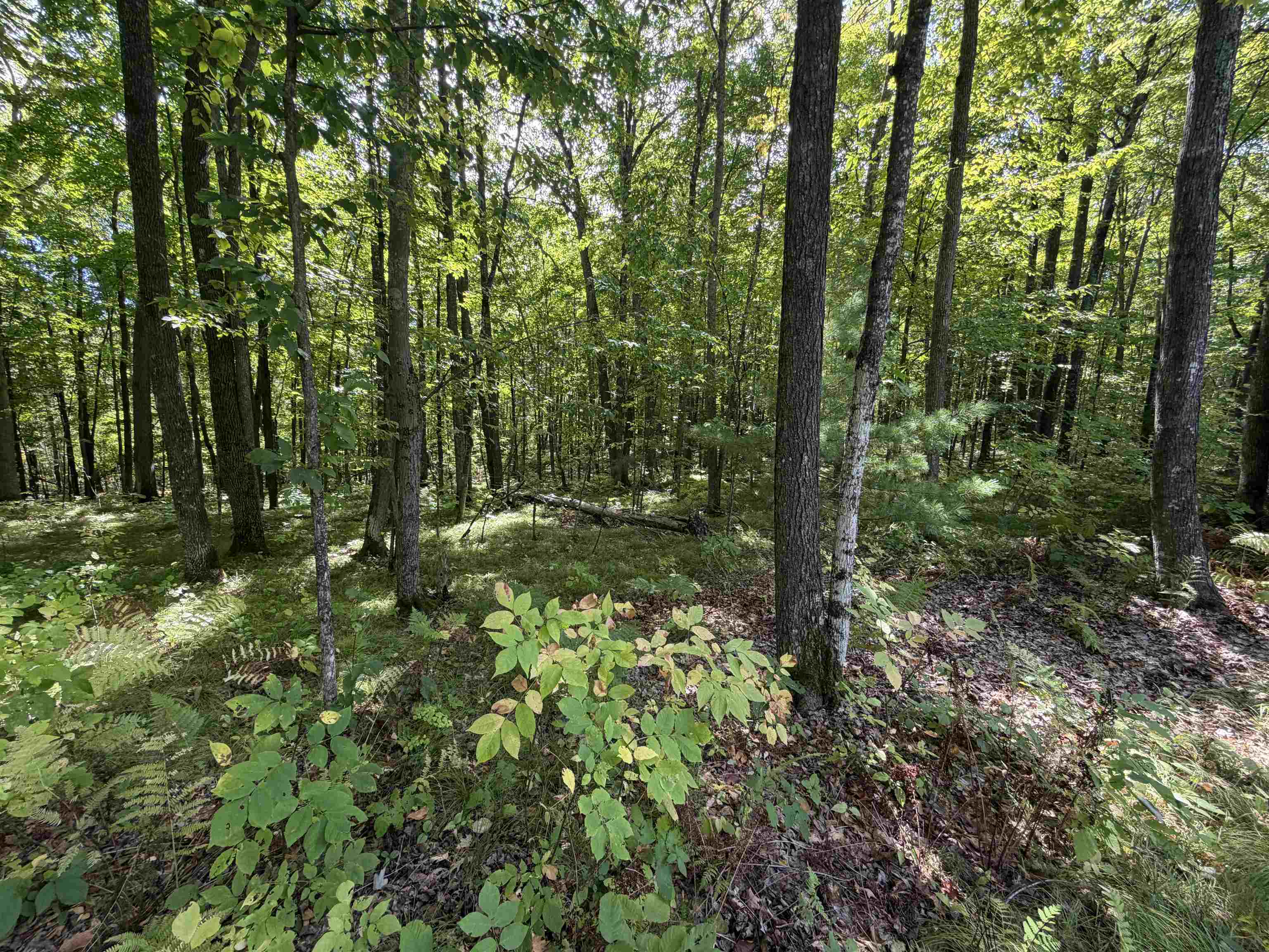 11426 N Bethel Road Property Photo 26