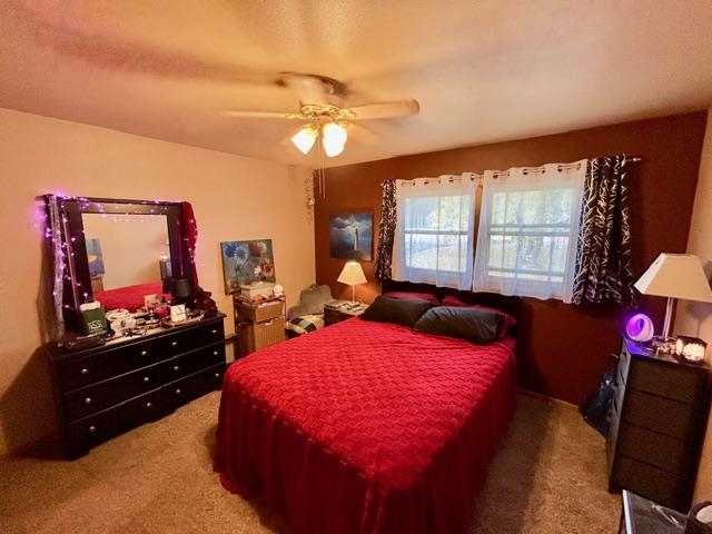 2354-2356 Tower Road Property Photo 15