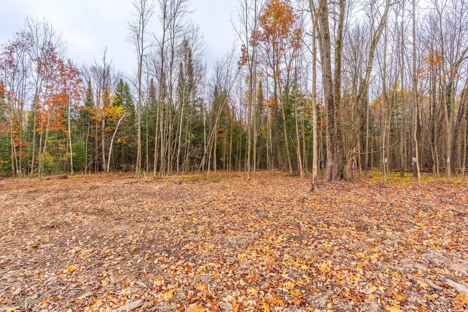 2295 Forest Road Property Photo 26