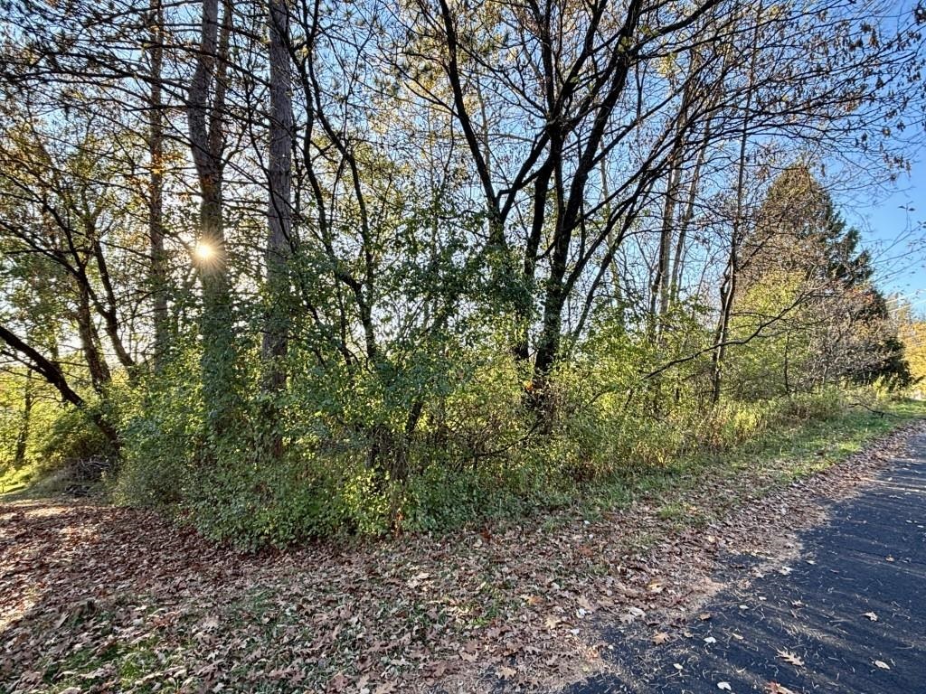 1413 Swanee Avenue Property Photo 32