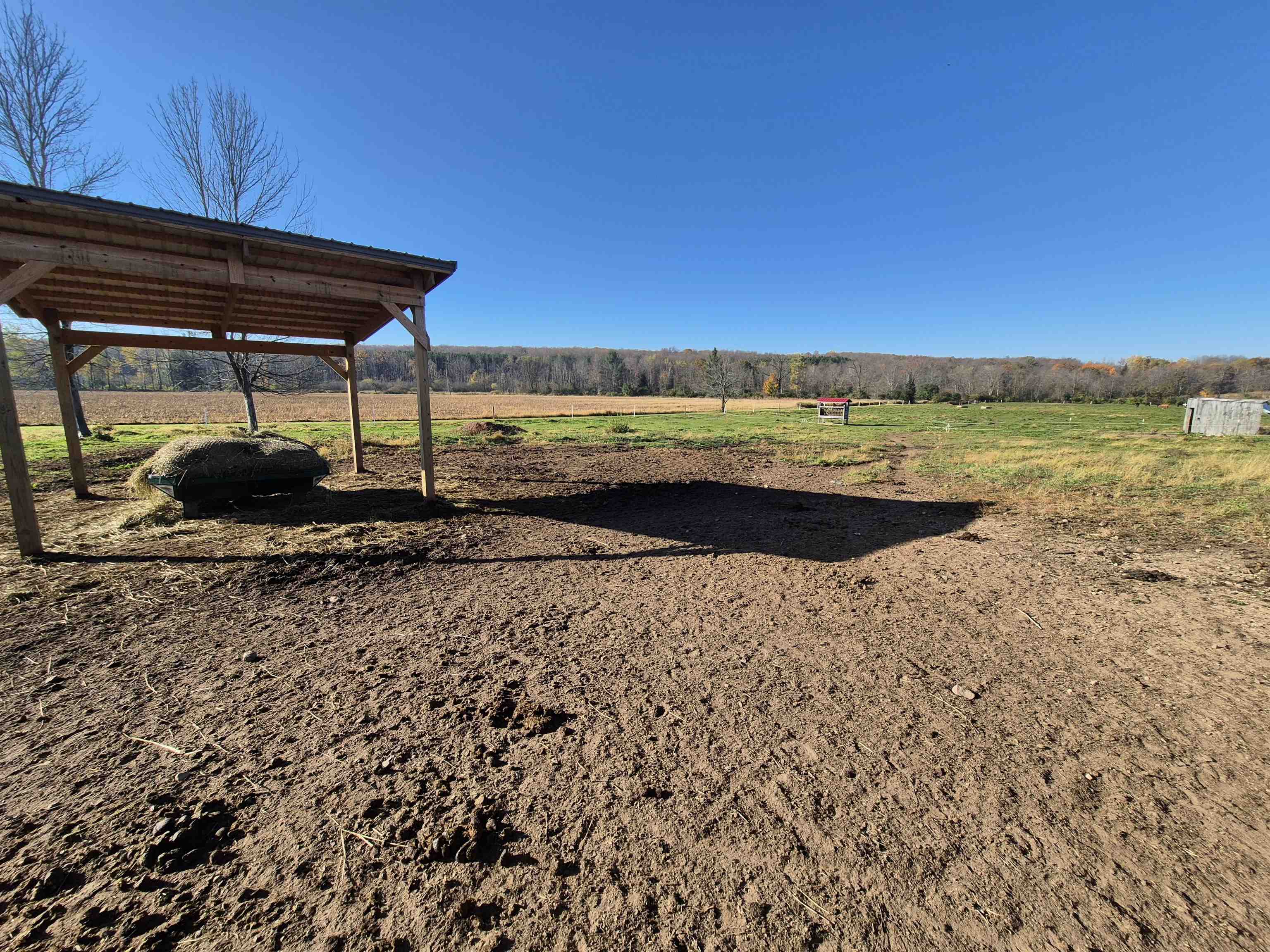 N4561 Hirt Lane Property Photo 8