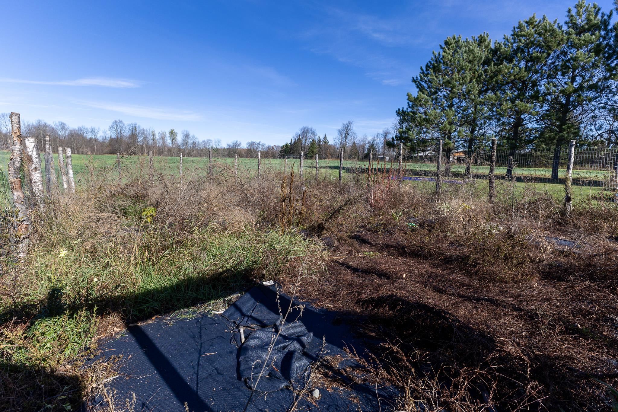 W5172 State Highway 64 Property Photo 28