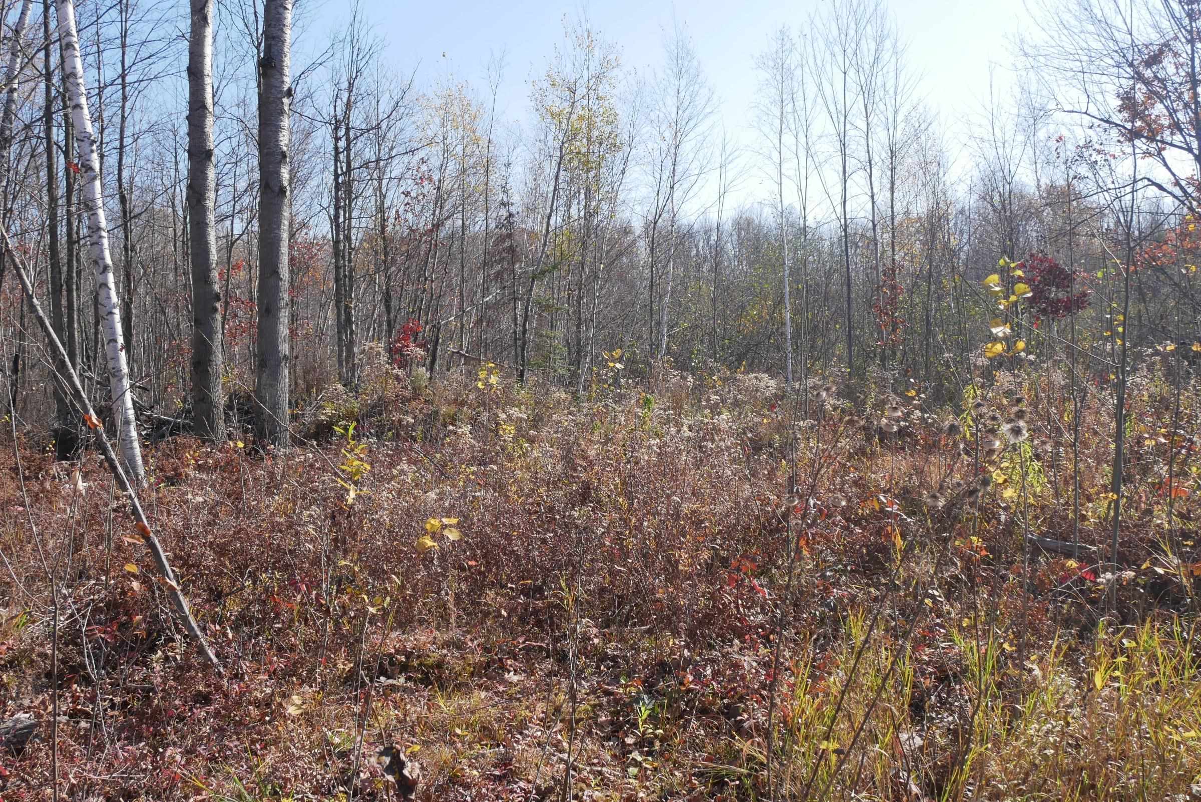 +/-5.17 Acres County Line Road Property Photo 8