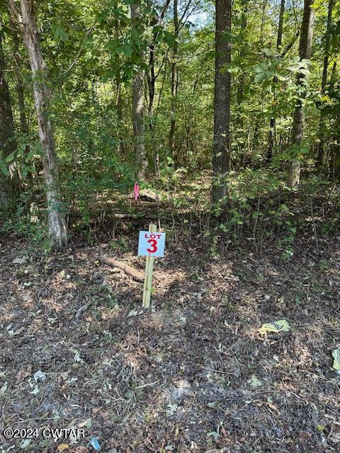 00000 Lot 3 Sales Landing Rd Road Property Photo