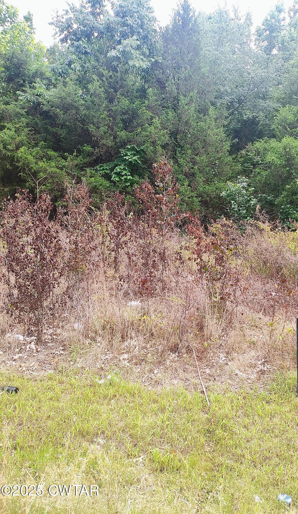 449 Saint John Road Property Photo 1