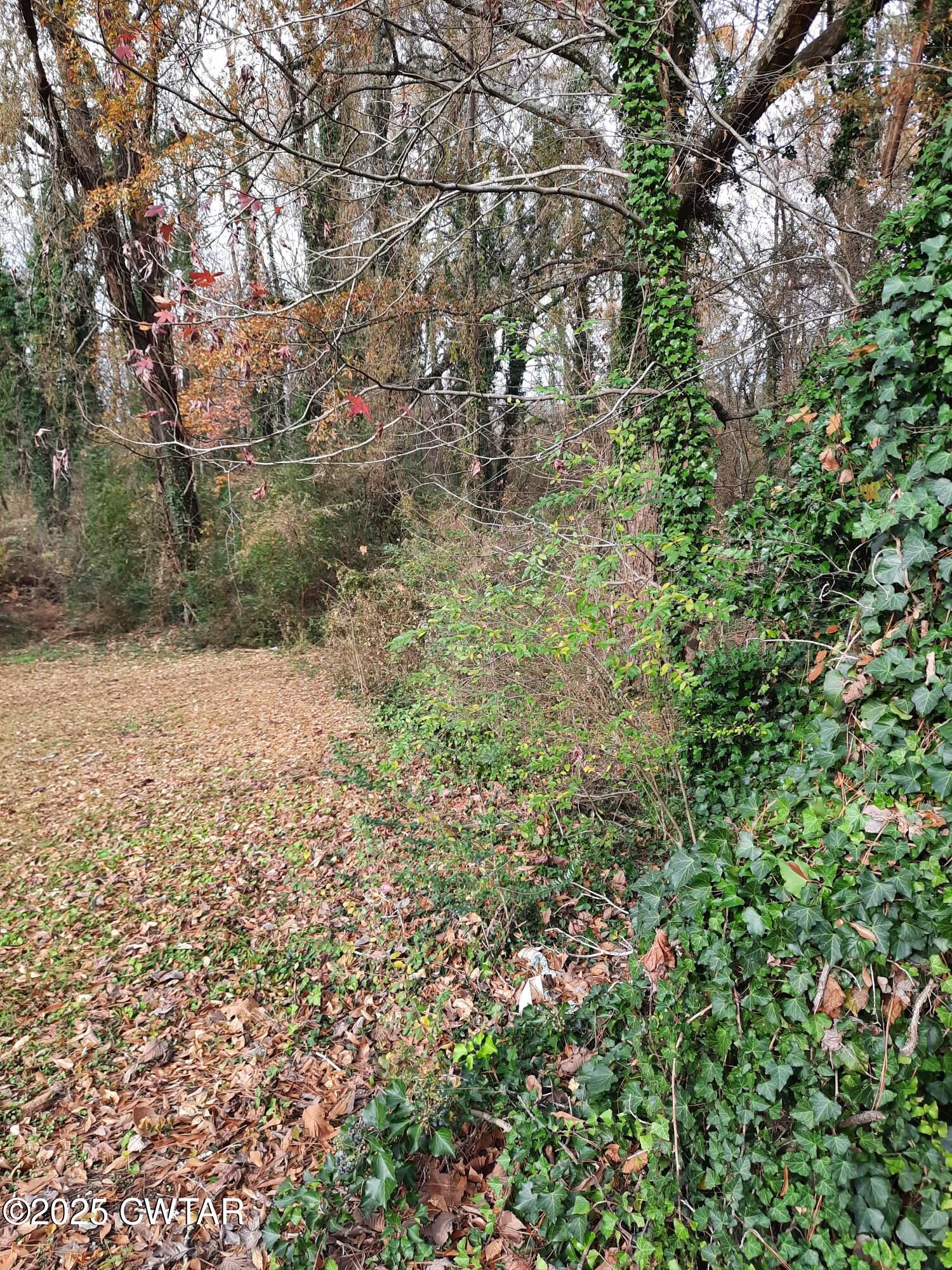 00 Womack Lane Property Photo 1