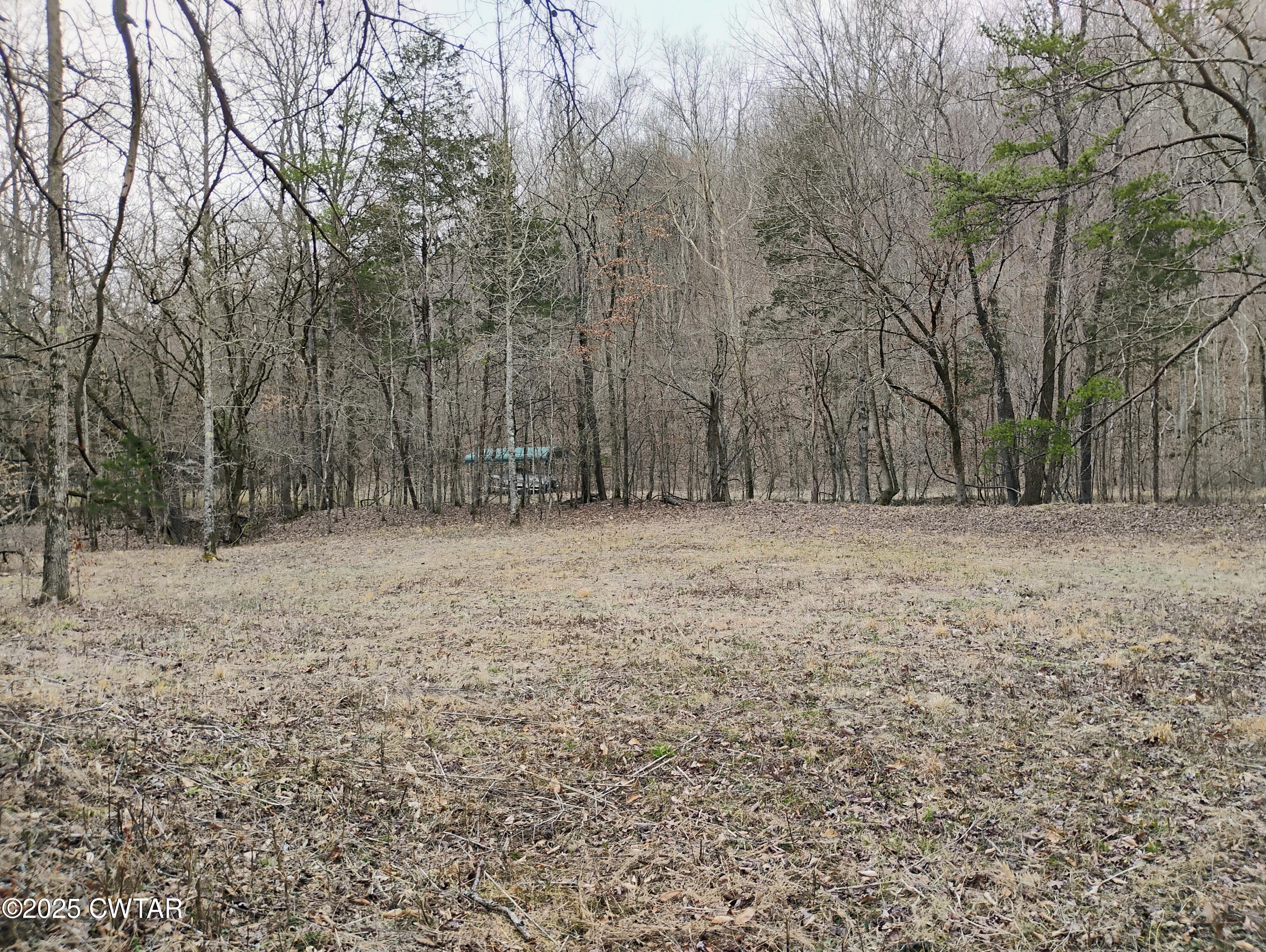 0 Sewell Branch Road Property Photo