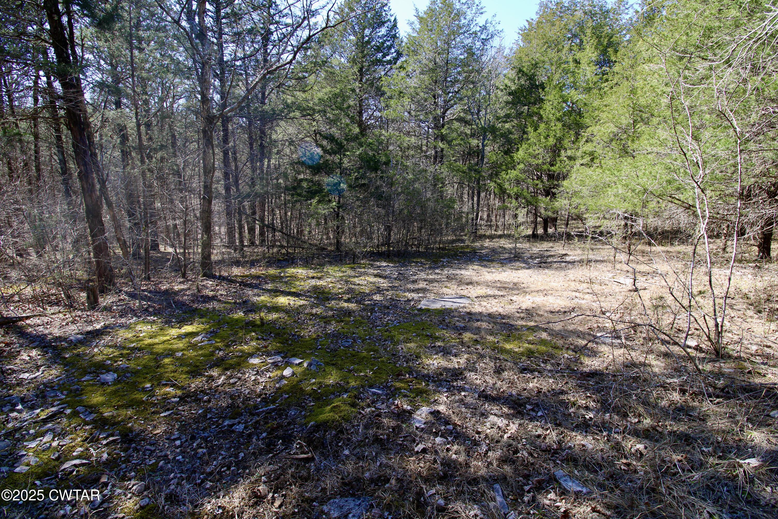 000 Eagles Nest Landing Ln Property Photo 1